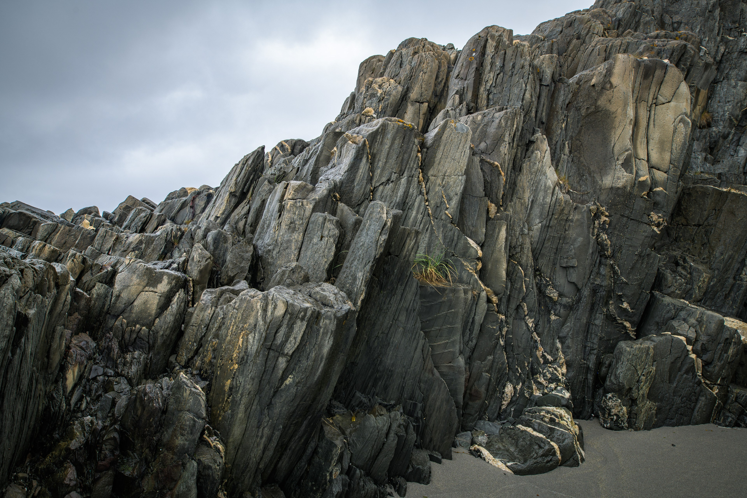Варангер. Северные Ночи