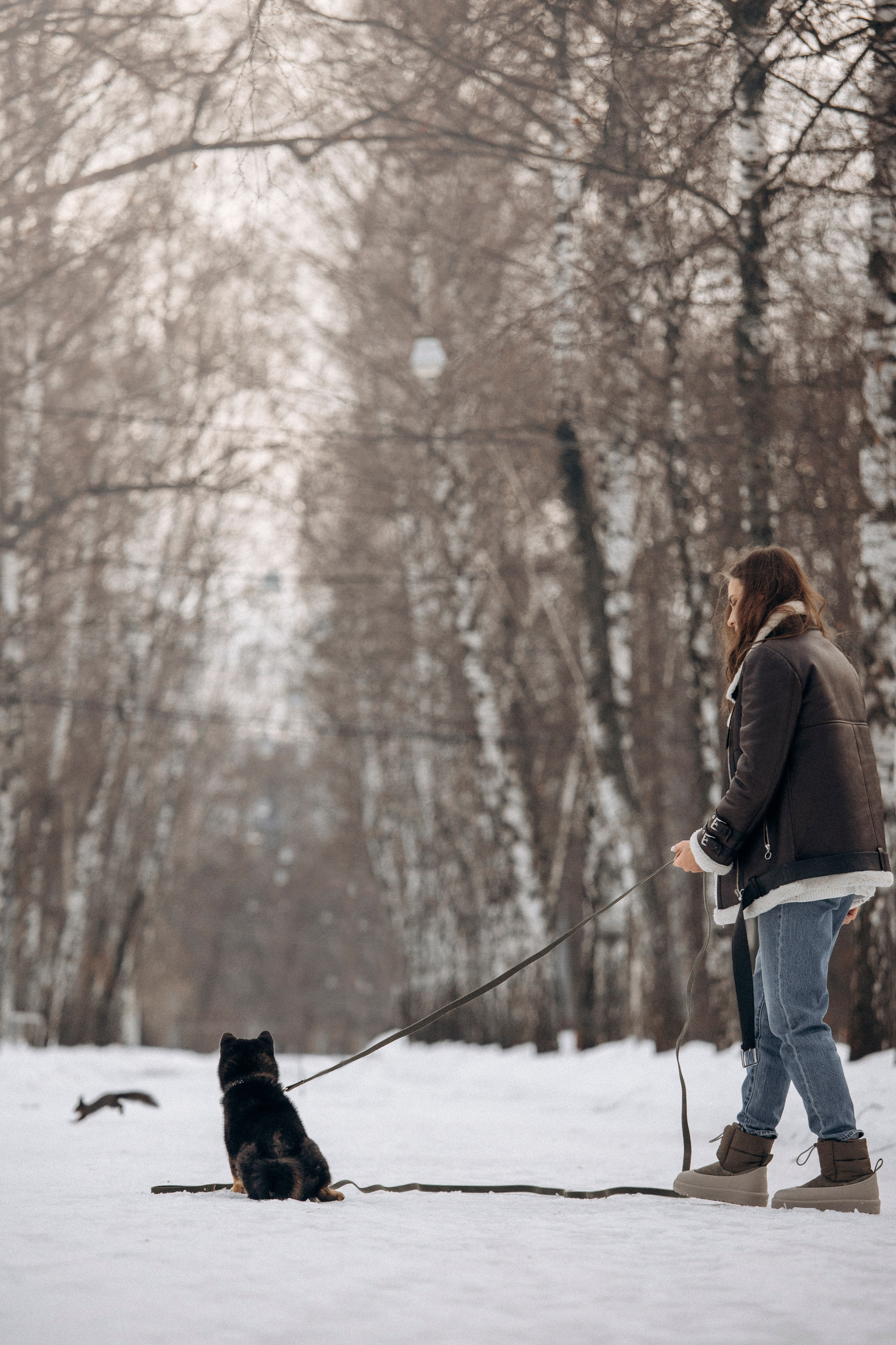 Дарья и Мики. Фотограф — Анималист | Санкт-Петербург