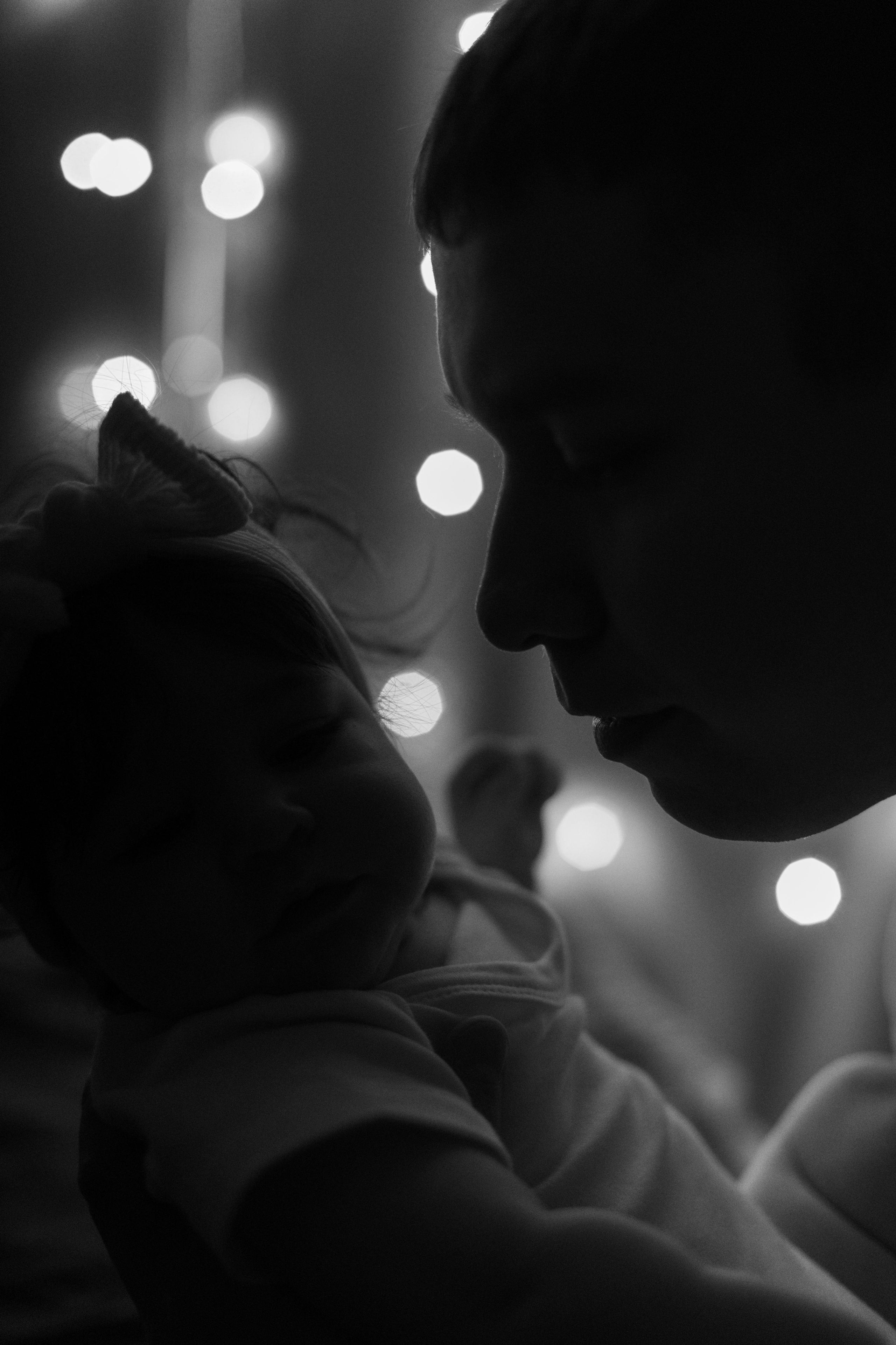 Джой и его семья. Фотограф — Анималист | Санкт-Петербург