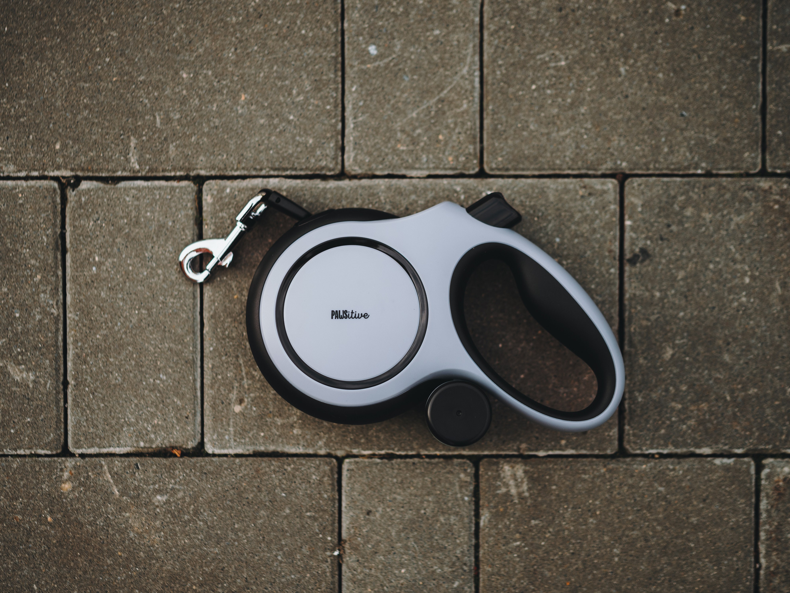 Pawsitive. Семейный фотограф анималист Ананьева Мария — Москва