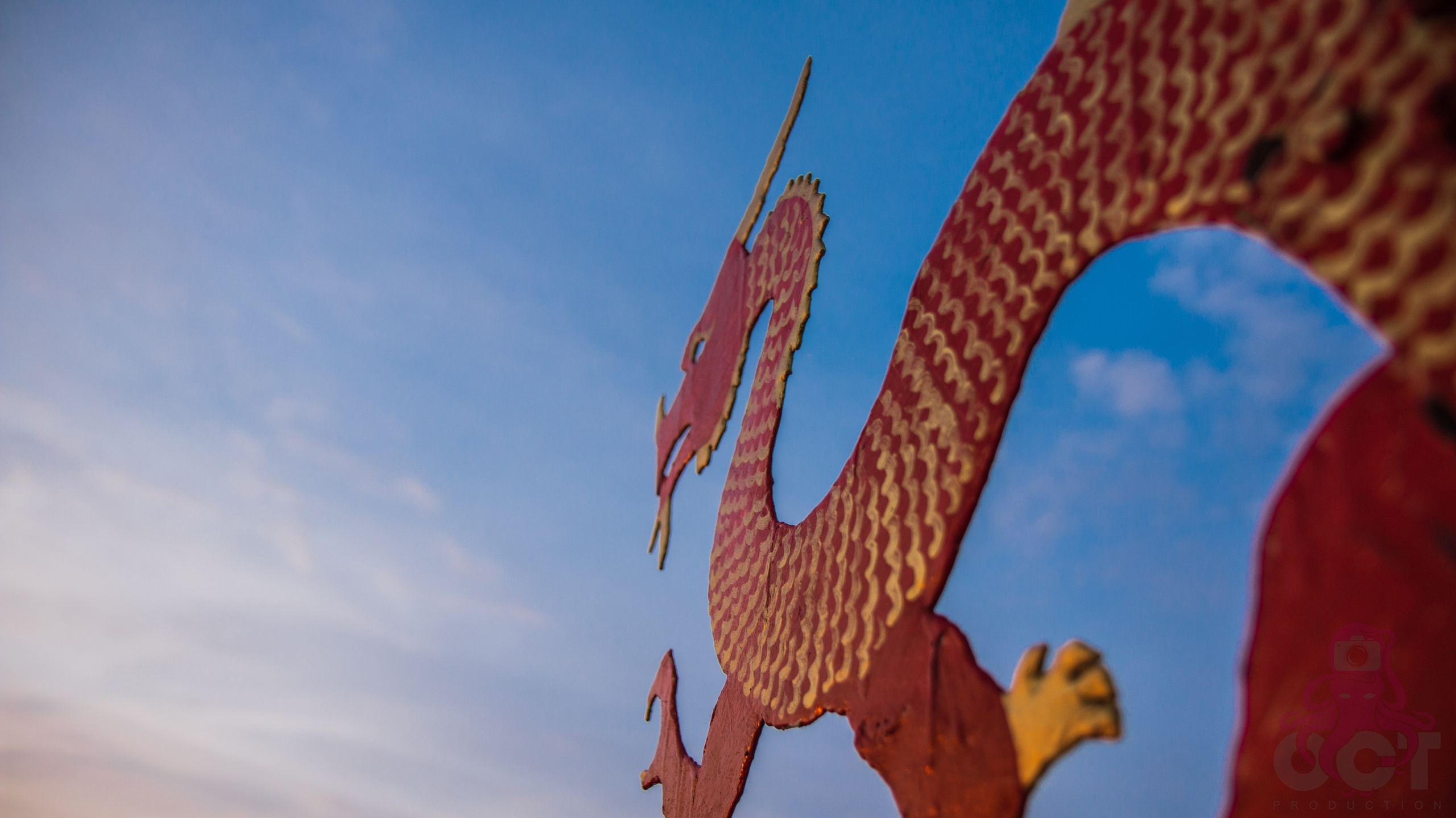 Буддистский монастырь Шад Тчуп Линг. Предметный и репортажный фотограф Алексей Кротов