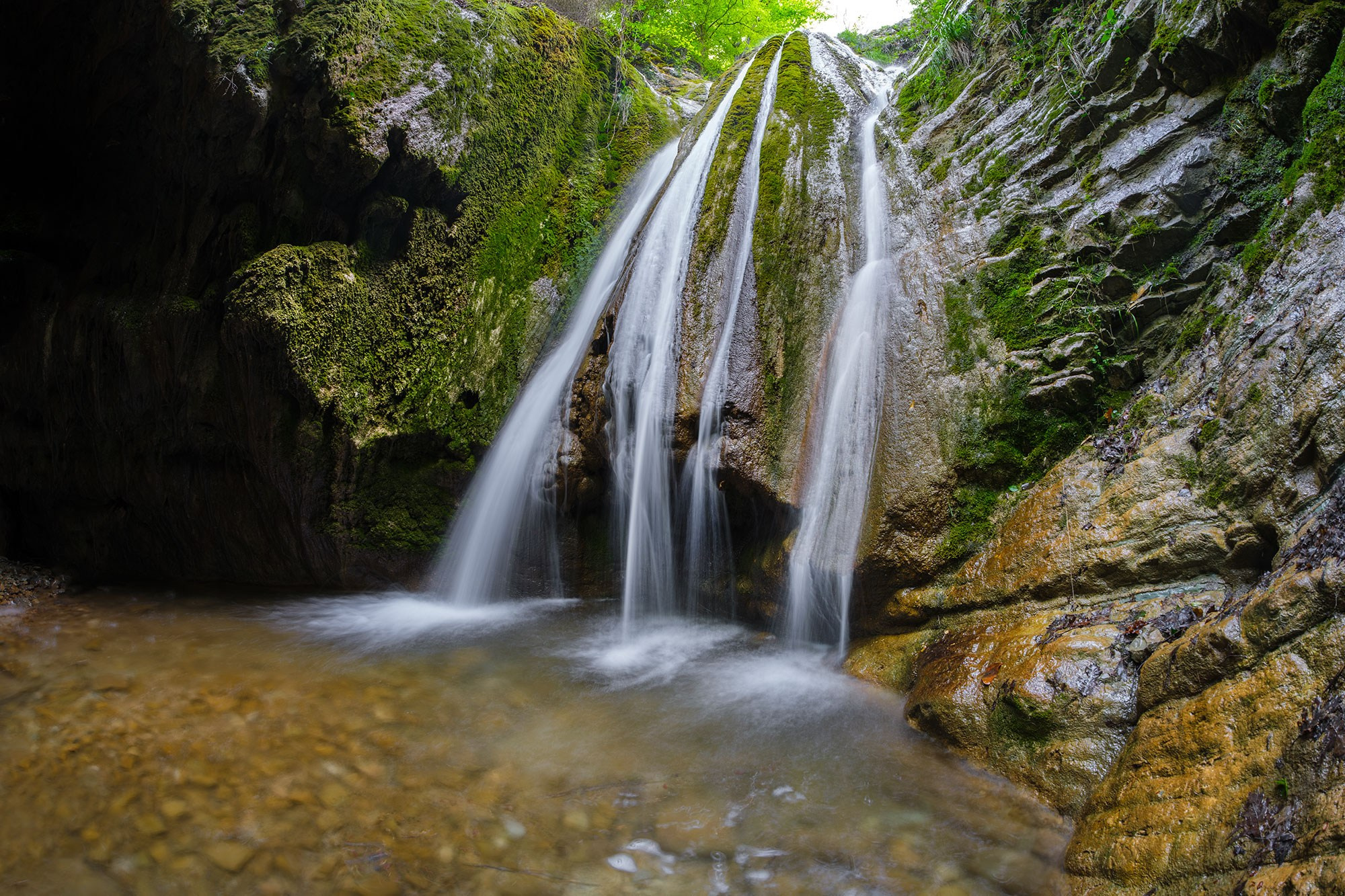 Свадебный фотограф в Геленджике