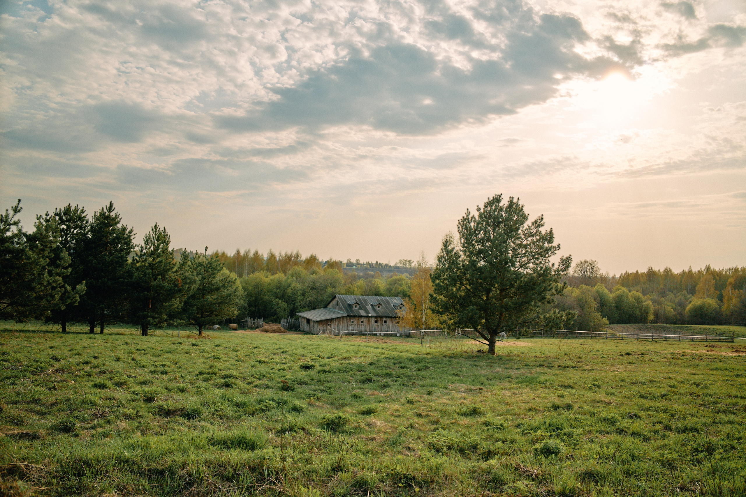 Бутик-отель Поле летом. Профессиональный Фотограф во Владимире, в Москве и в Суздале — Полина Романычева