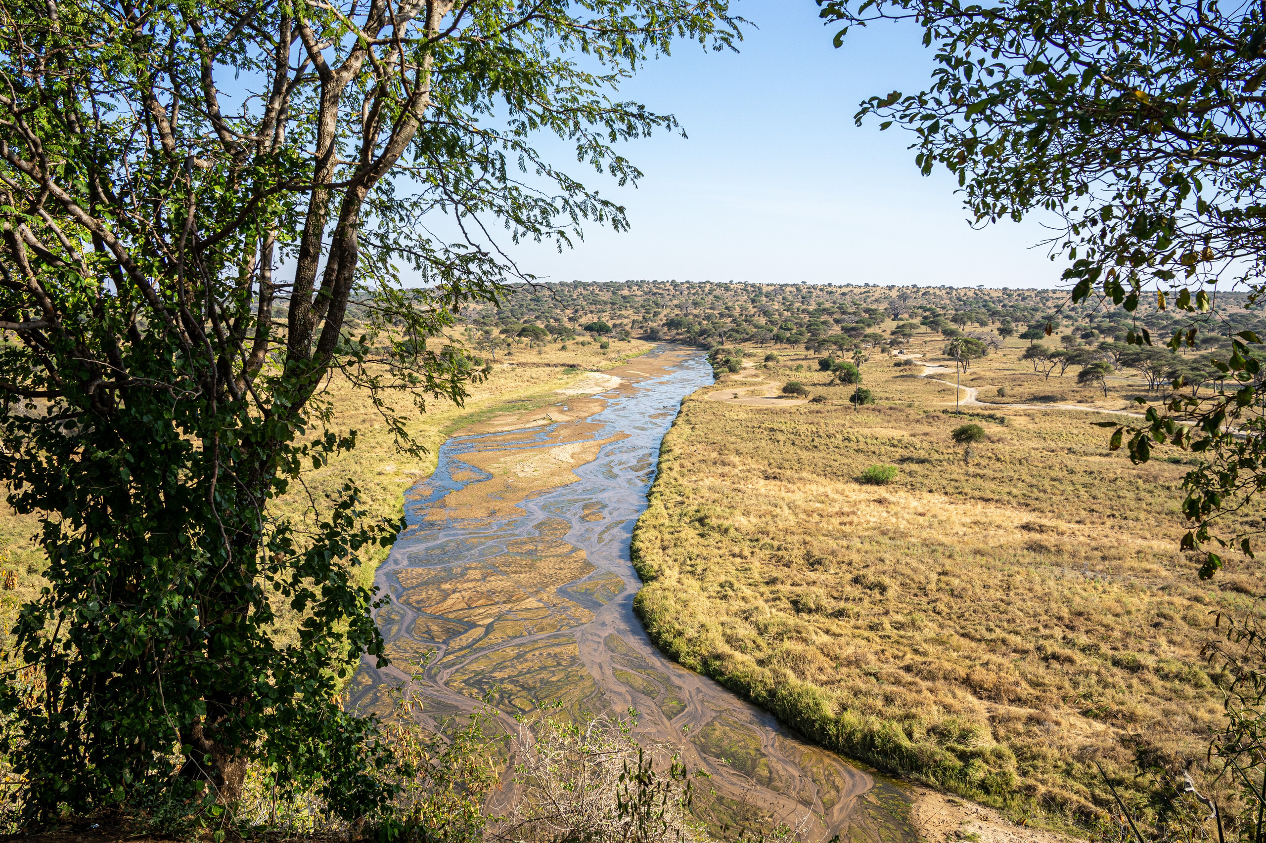 Танзания, сафари, 2025. Творческие сьемки