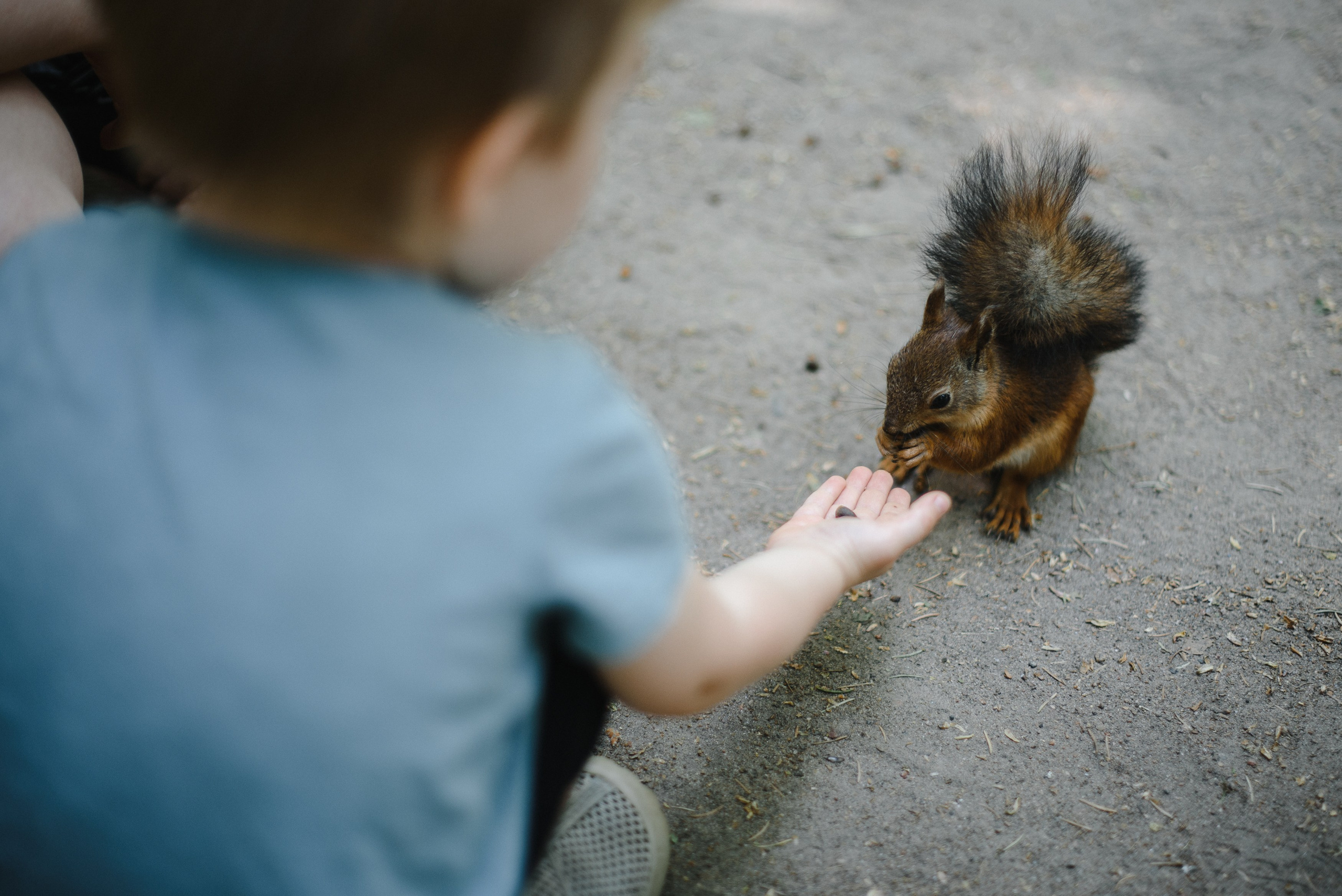 Игорь, Мила и Михаил Игоревич, домашняя история. Фотограф Денис Неместо, портрет, репортаж