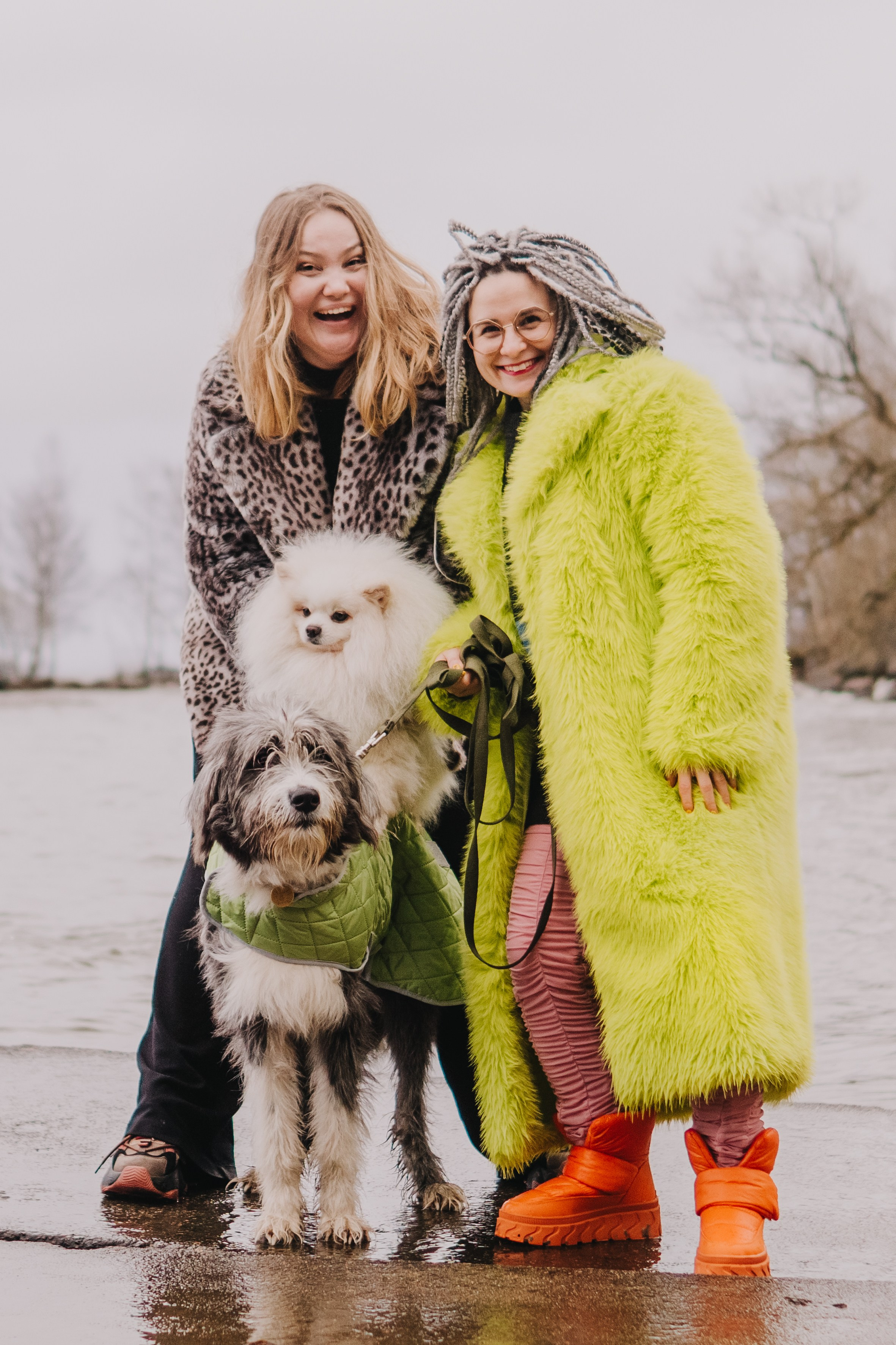 Life with dog. Saamill