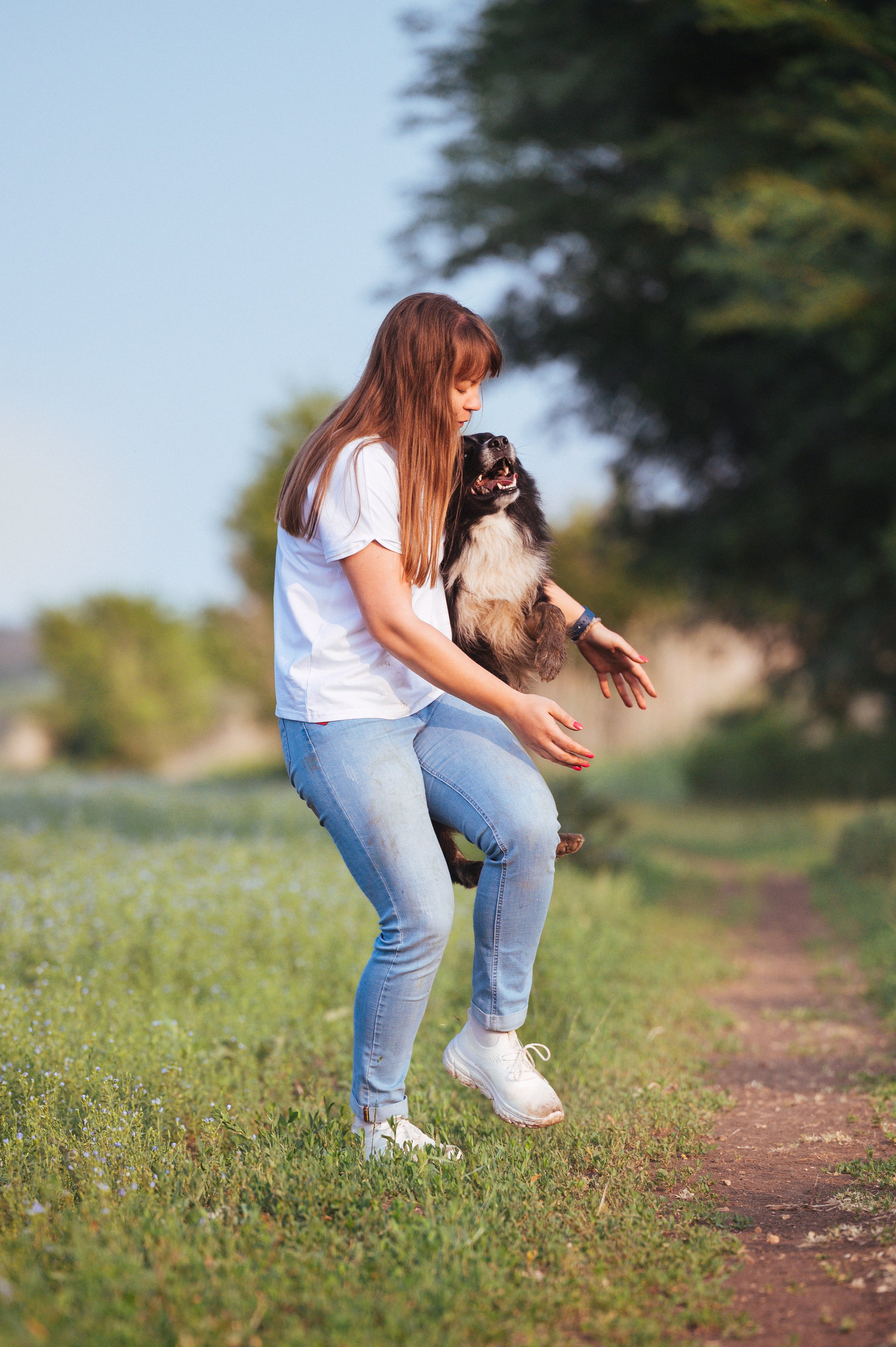 Прогулка на рассвете с бордер-колли. Фотограф в Ростове —на — Дону