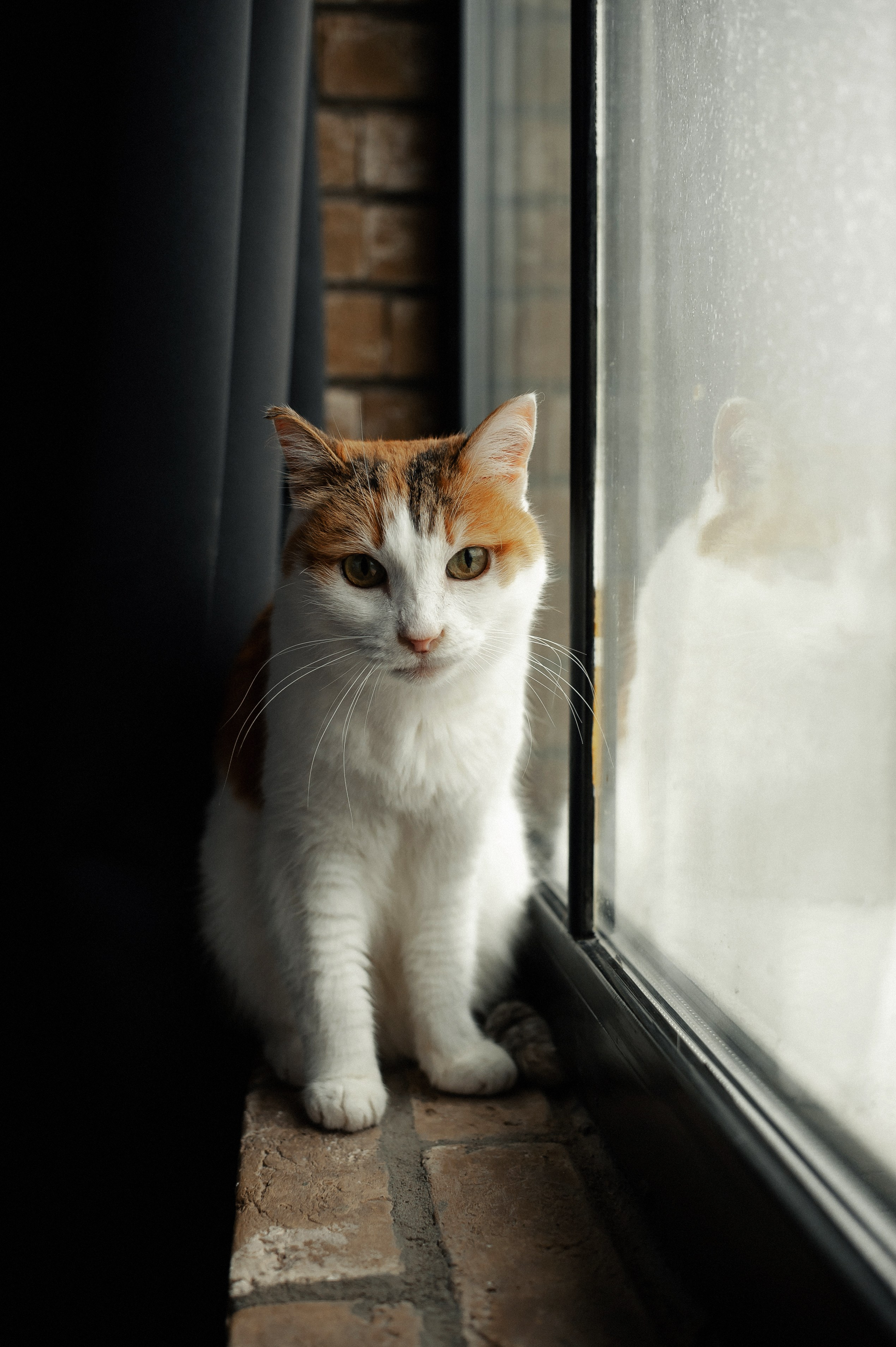 Владислав+Катя. Фотограф в Екатеринбурге Артём Зайнетдинов