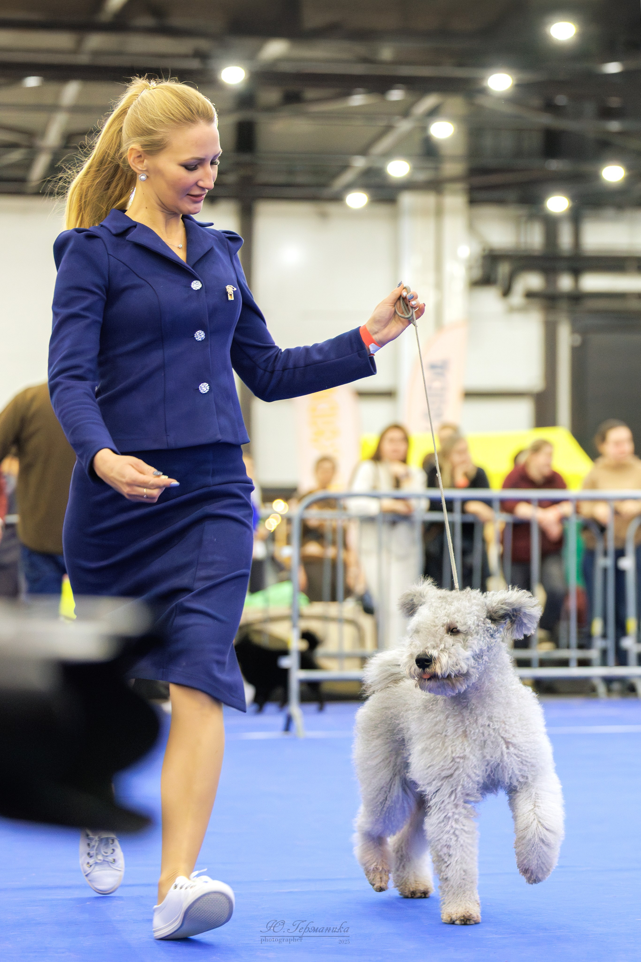 Питер 12-13.12.2025. Фотограф-анималист Юлия Германика