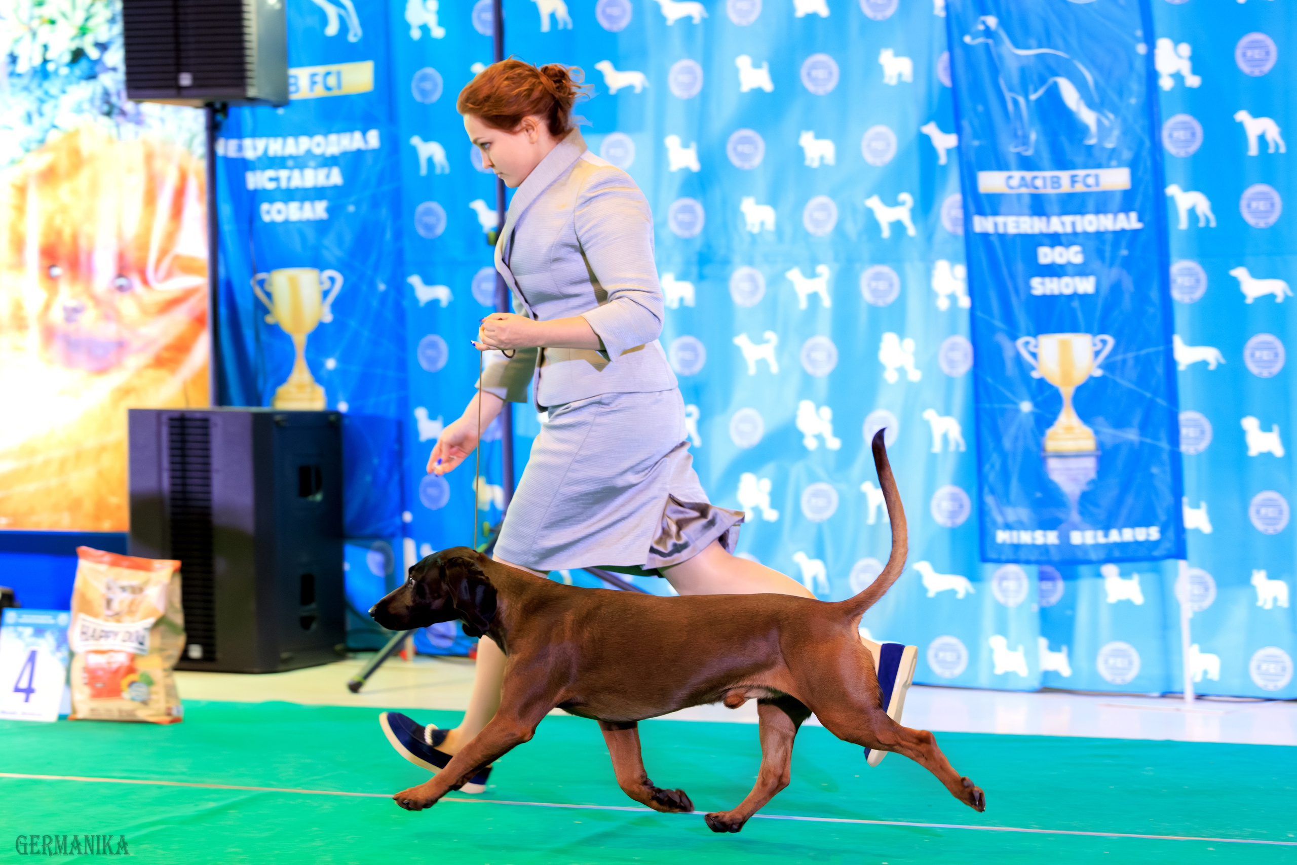 Минск 24-25.02.2024. Фотограф-анималист Юлия Германика