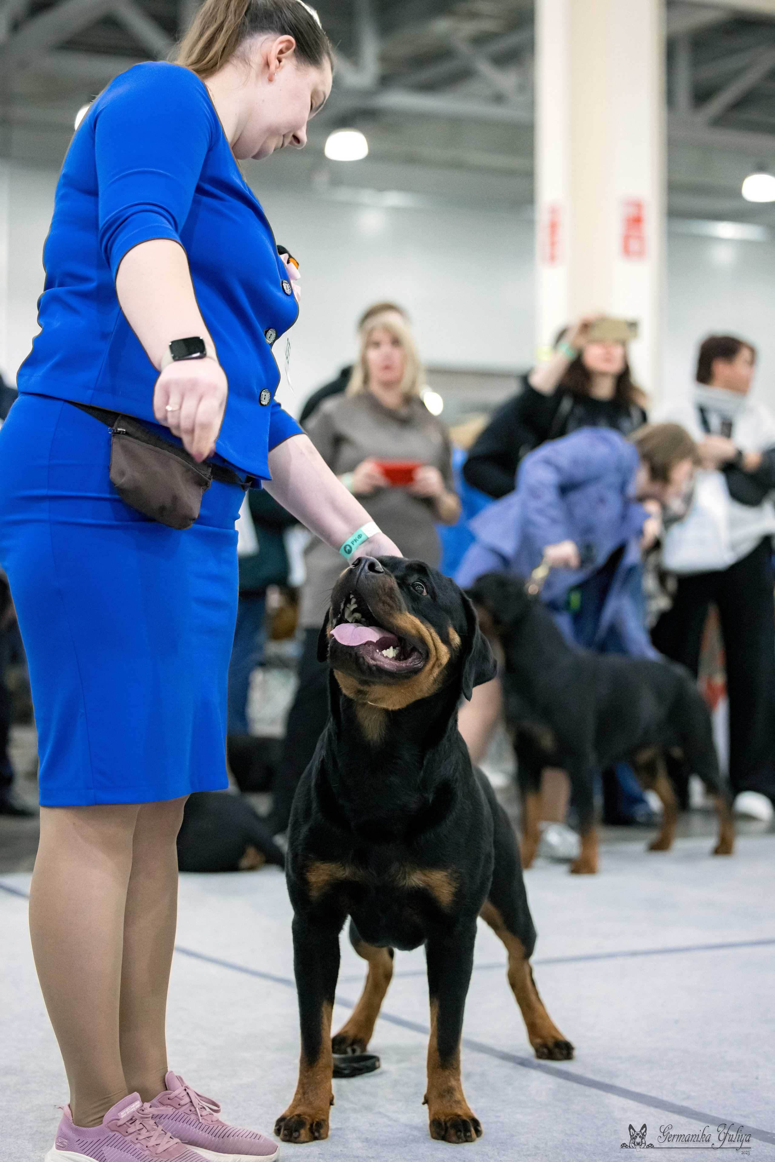 ЕВРАЗИЯ 18-19.11.2023. Фотограф-анималист Юлия Германика