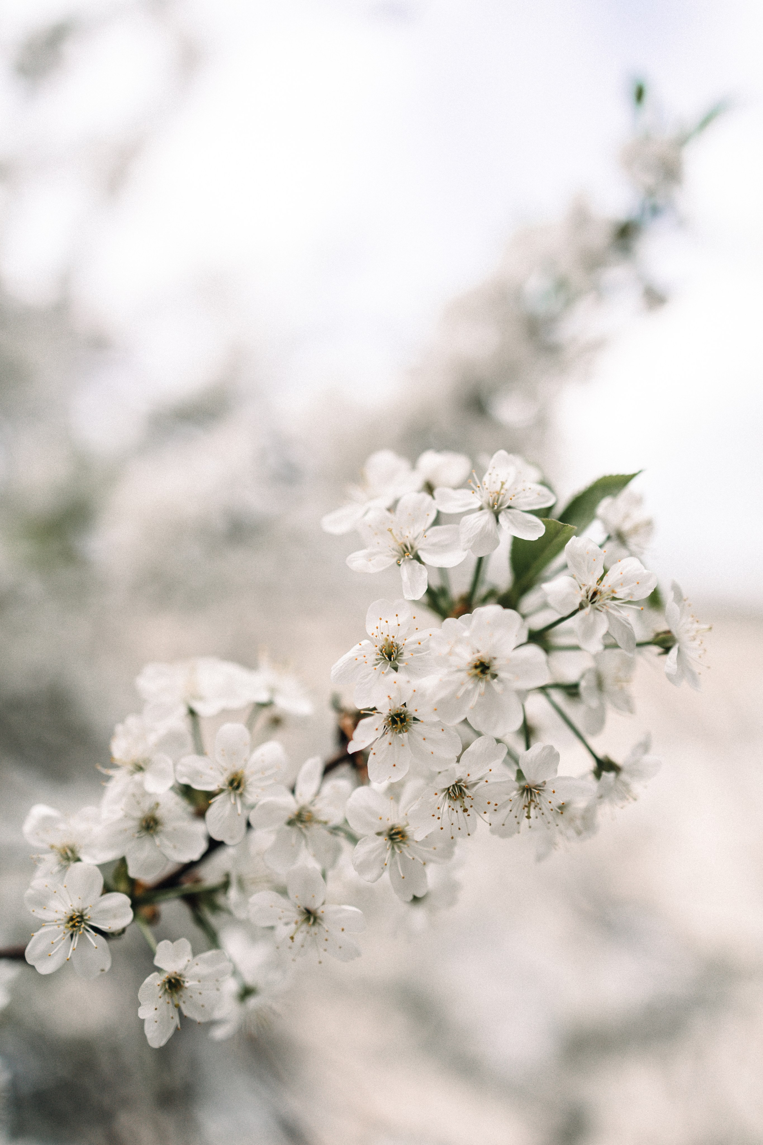 1+1=5. Фотограф Москва Светлана Кирюшина