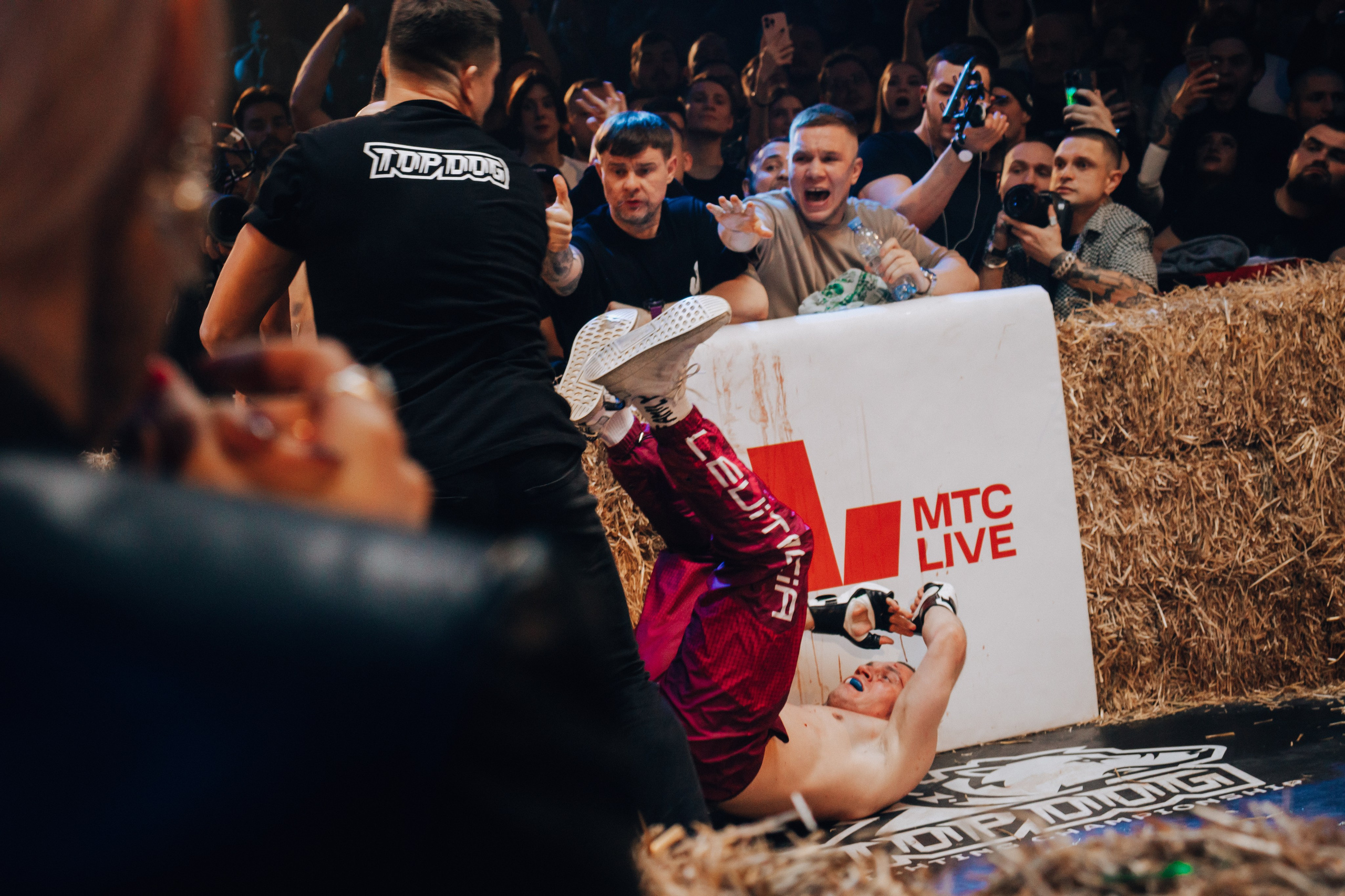 Кулачные бои TopDog. Анастасия Тен