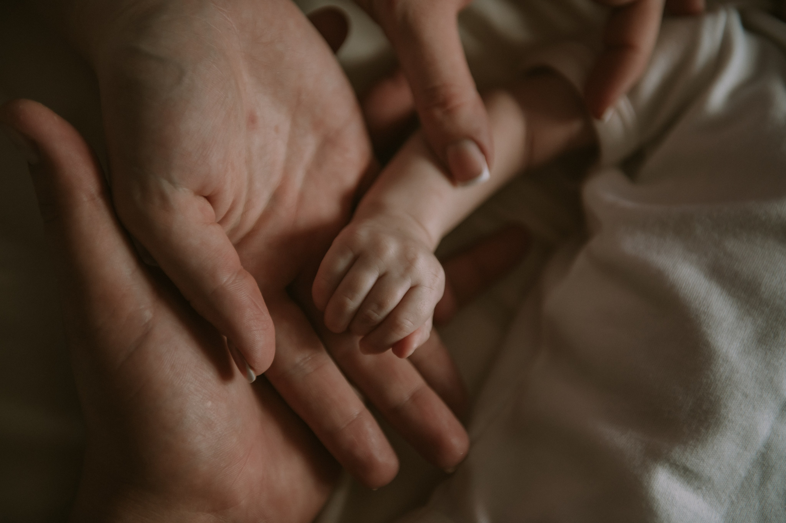 Церковь Вознесения Господня. Свадебный, женский, семейный фотограф в Севастополе Юлия Мошенко