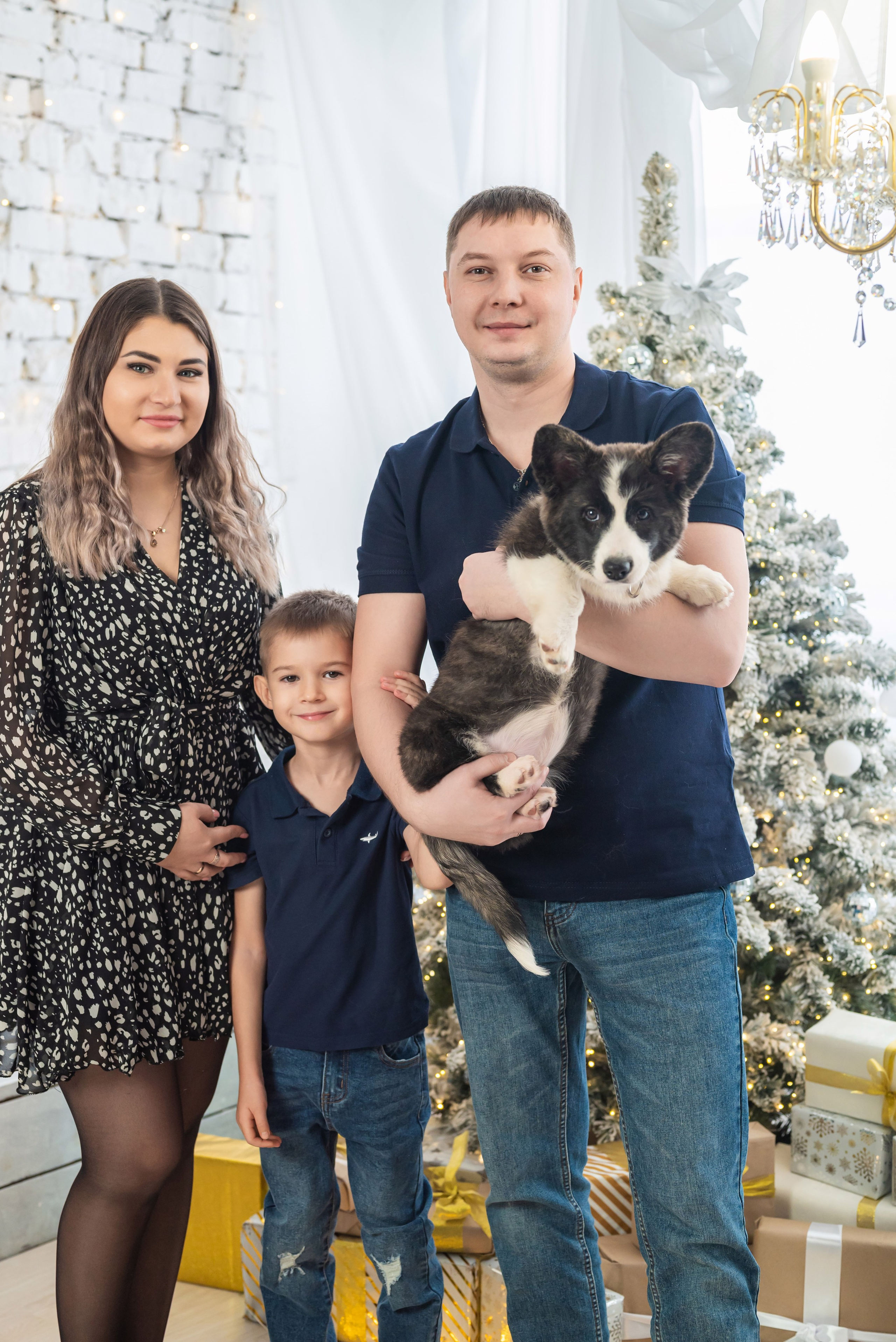 Фотопроект с корги. Фотограф в городе Салават