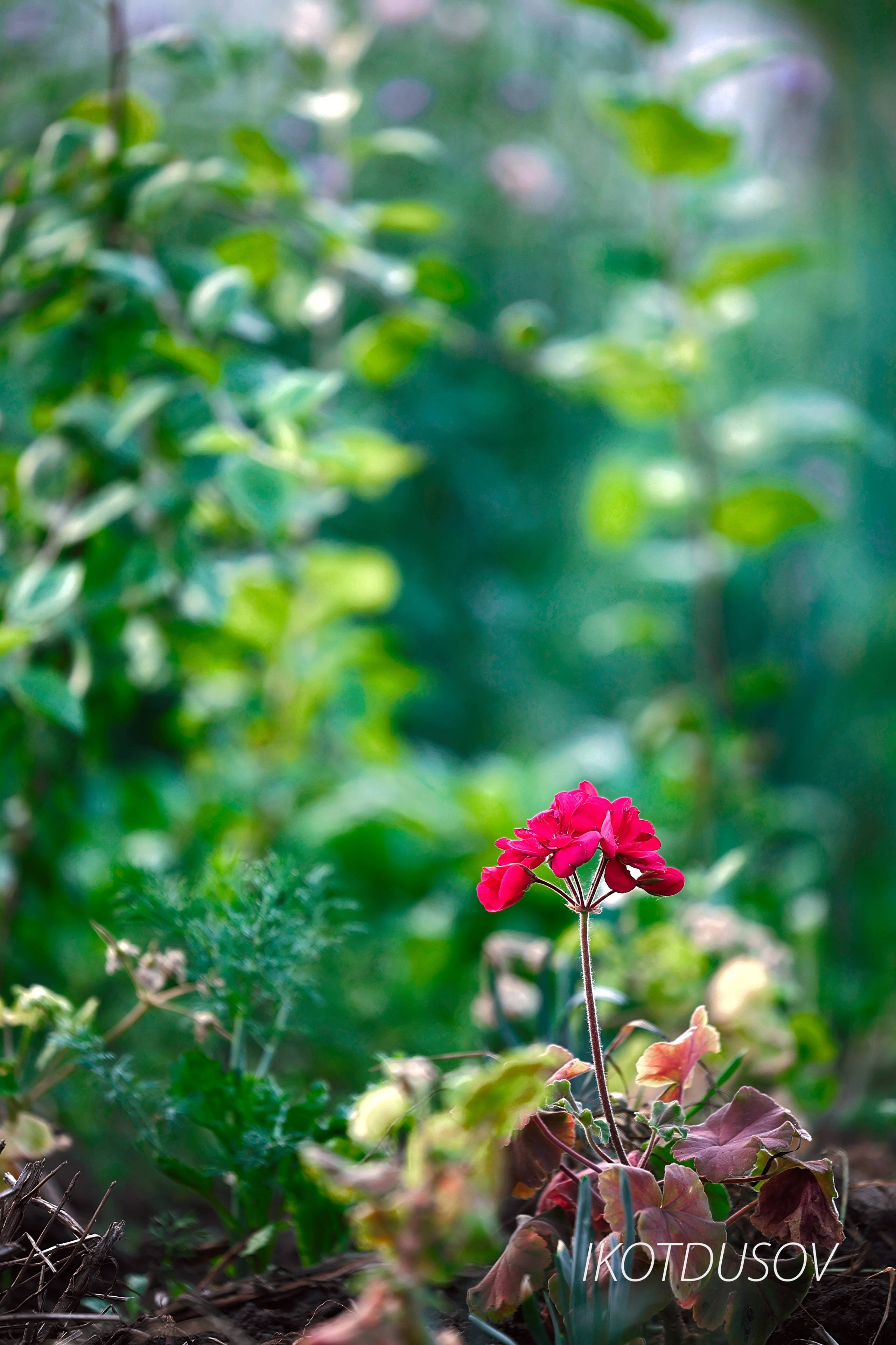 Пейзажная съемка. Ikotdusov