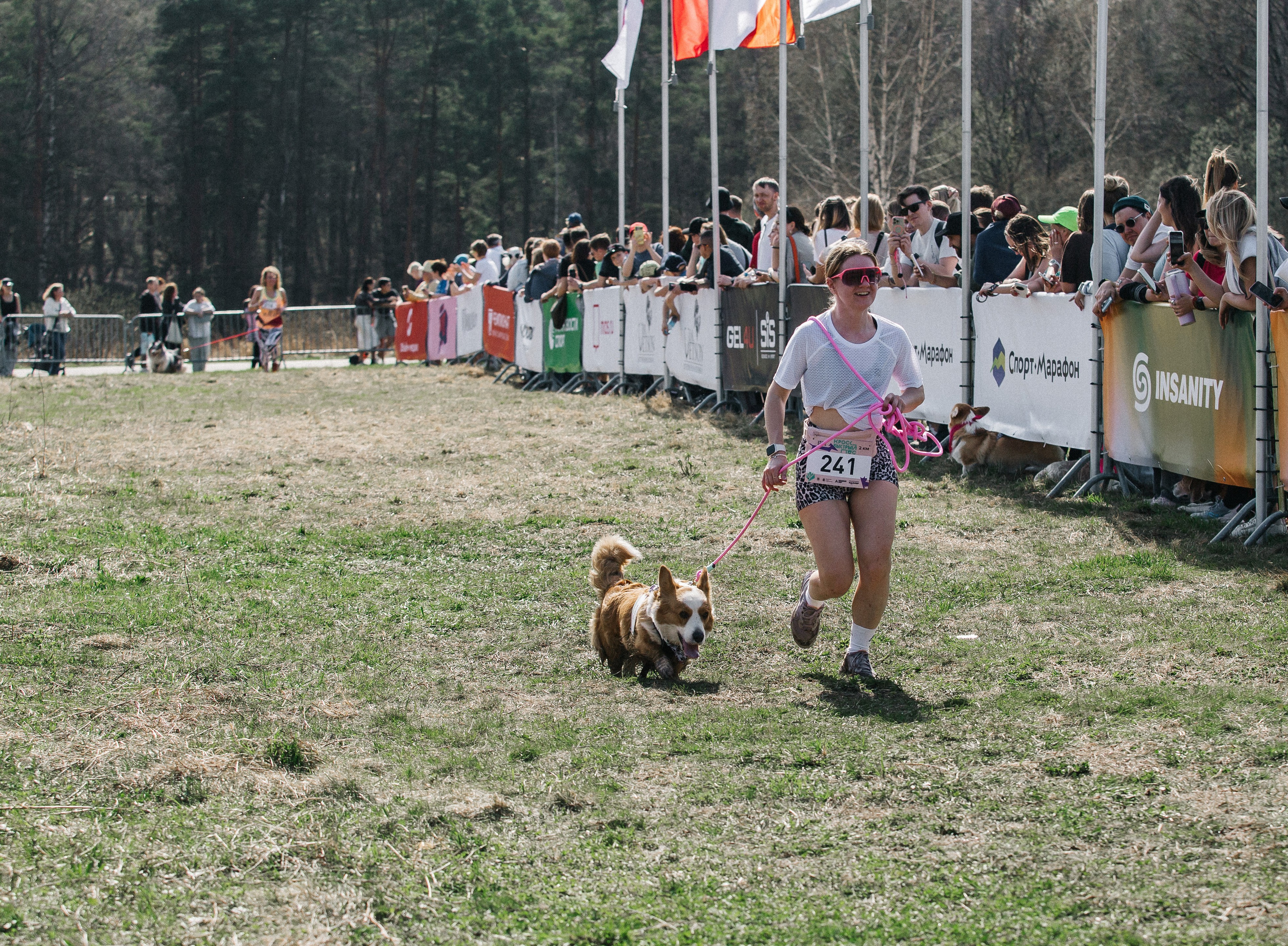Кросс «Быстрый пёс» 2025. Репортажный фотограф в Москве