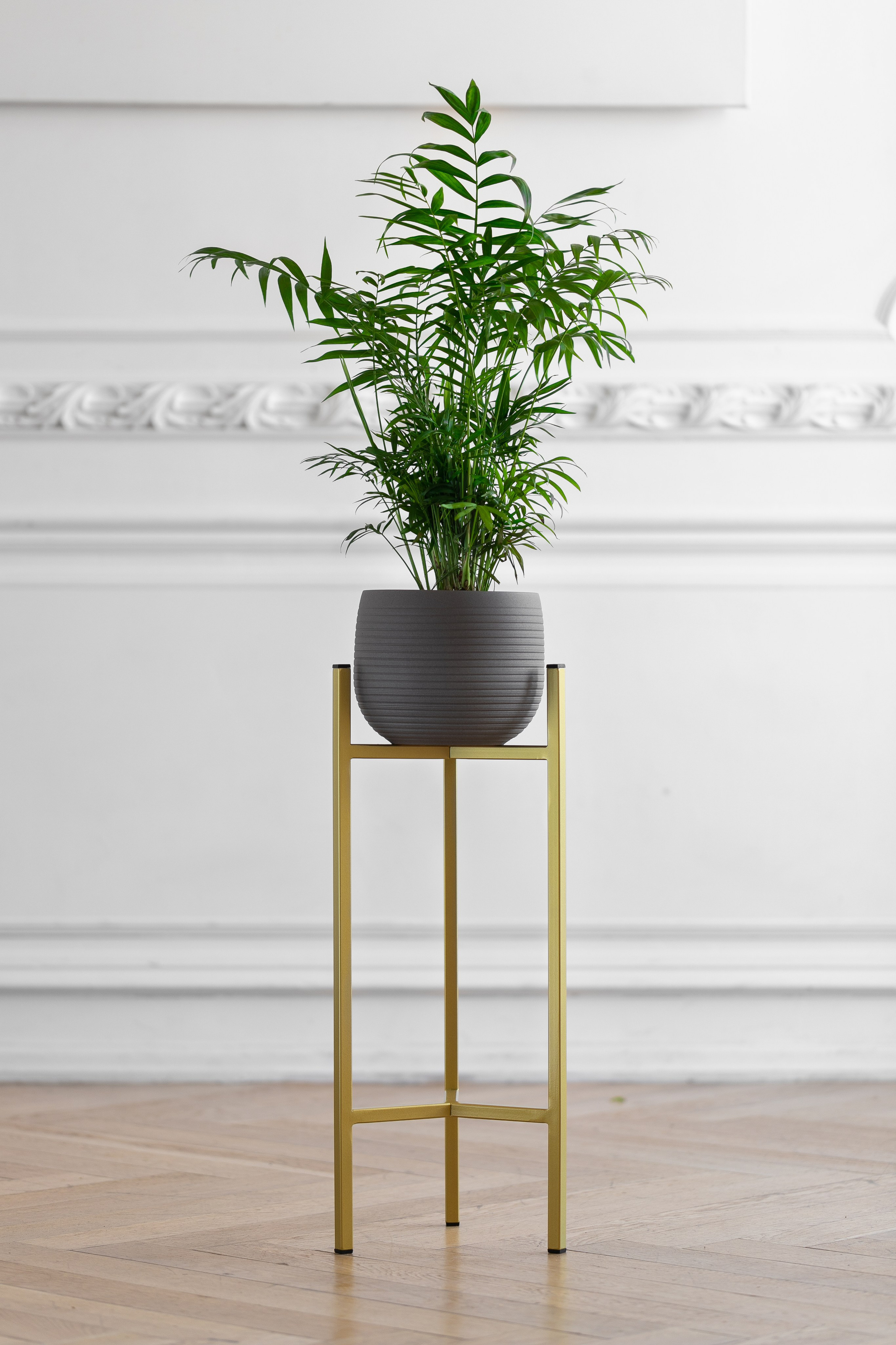 GREENWEEN. Дизайнерская мебель. Интерьерный фотограф и видеограф в Санкт-Петербурге Вадим Балбашевский