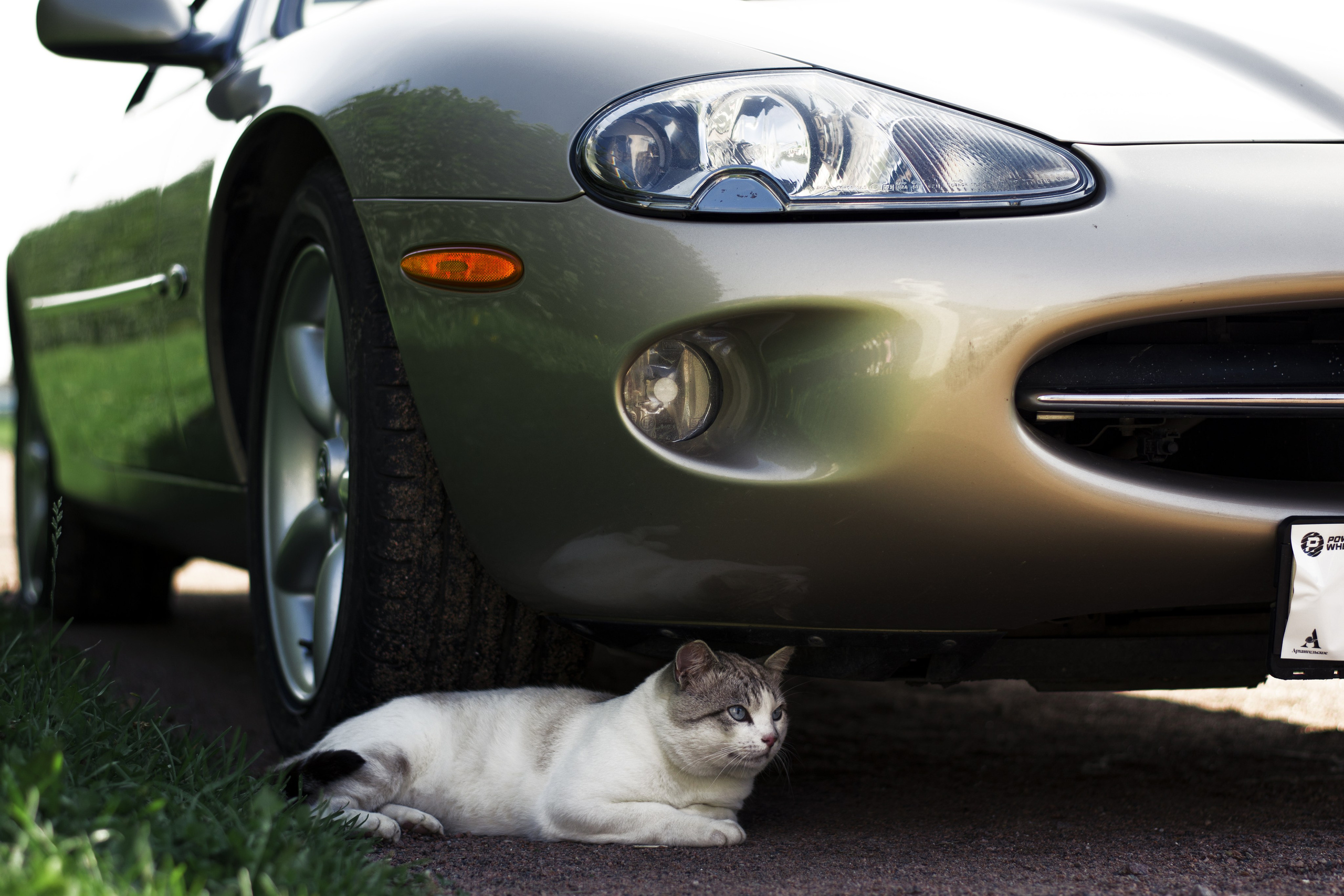 Выставка-фестиваль «Автокультура». Голосов Дмитрий — автоспортивный фотограф