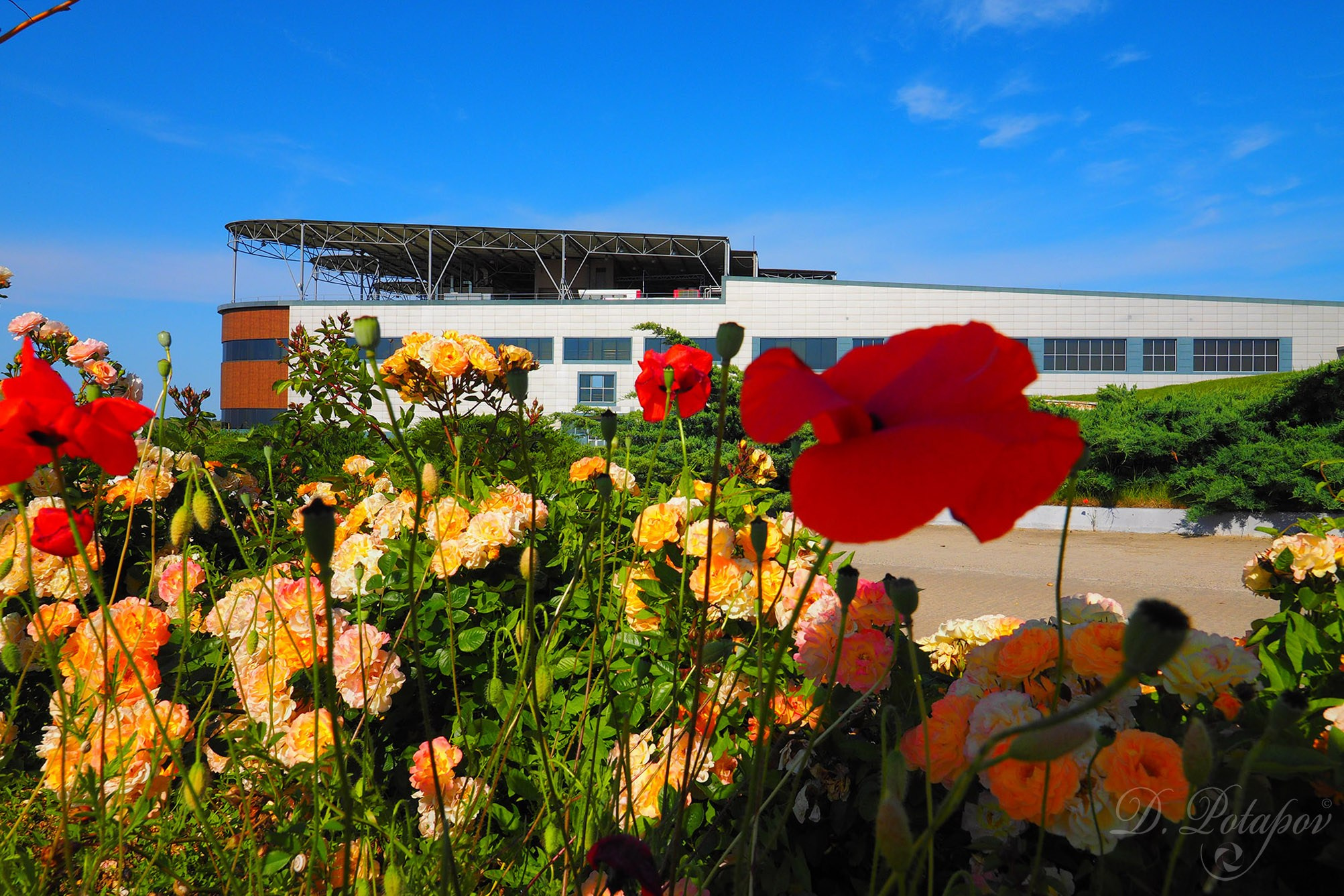Крымская винодельня Alma Valley. Московский фотограф Дмитрий Потапов