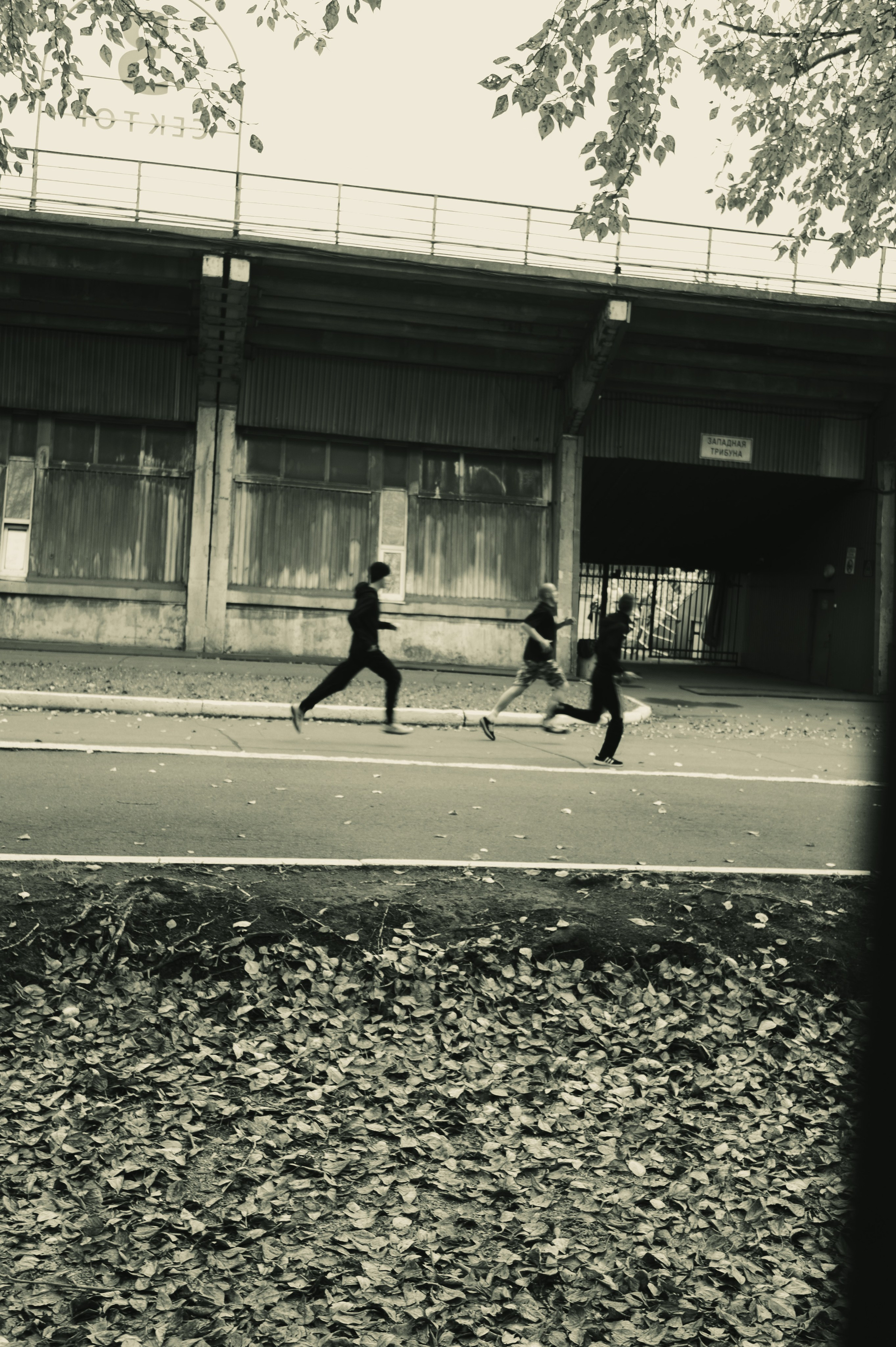 Сентябрь 2025. Den Mirov — Фотограф, Музыкант