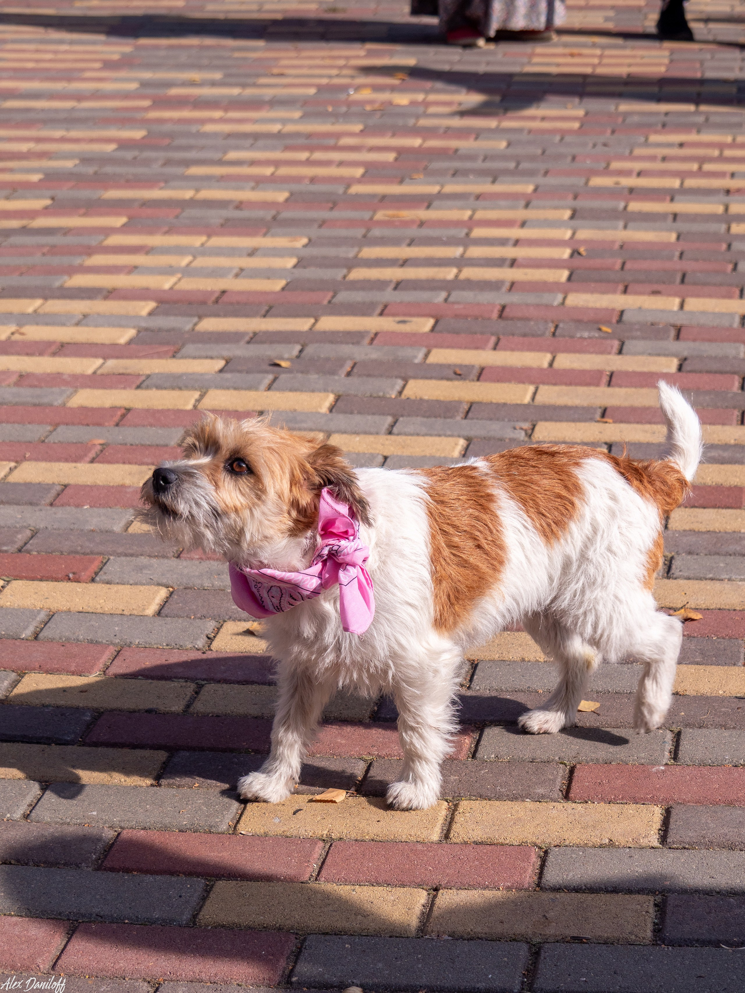 Обнимака 2025. Муром-Инфо. Новости культуры, образования, спорта в городе Муром