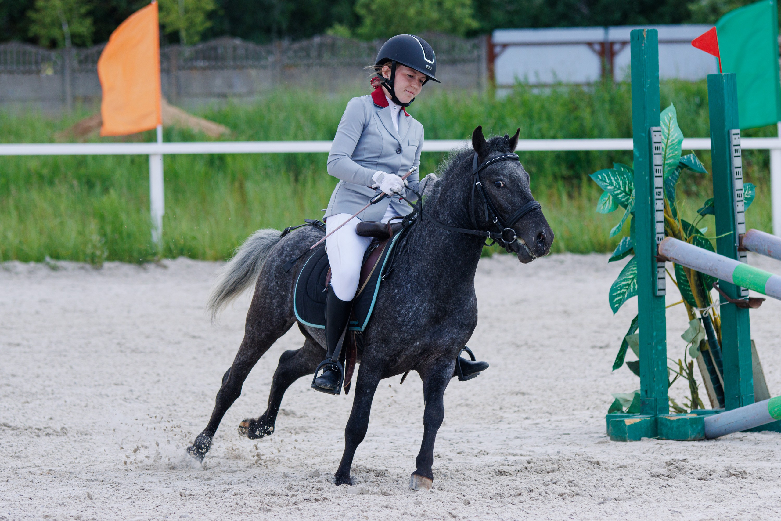 Конный спорт. Спортивный фотограф Вадим Добедченков