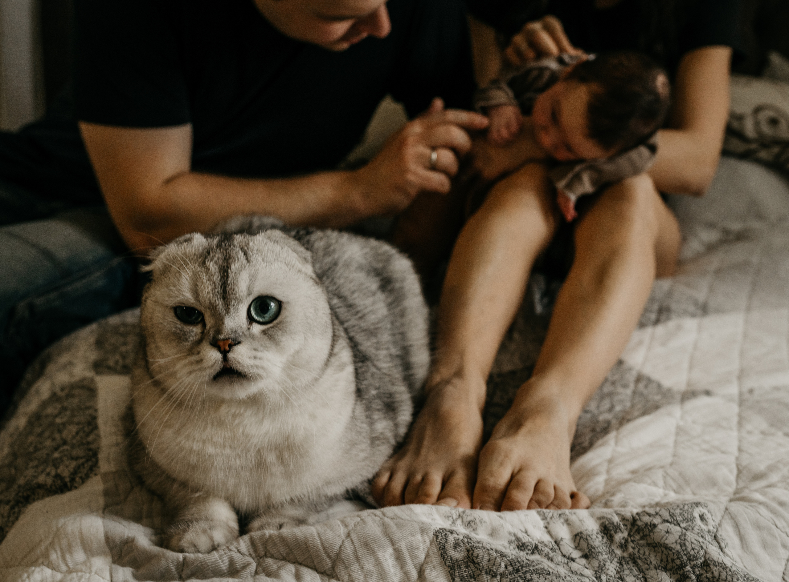 Семейные съемки. Семейный фотограф в Москве Полина Курданина