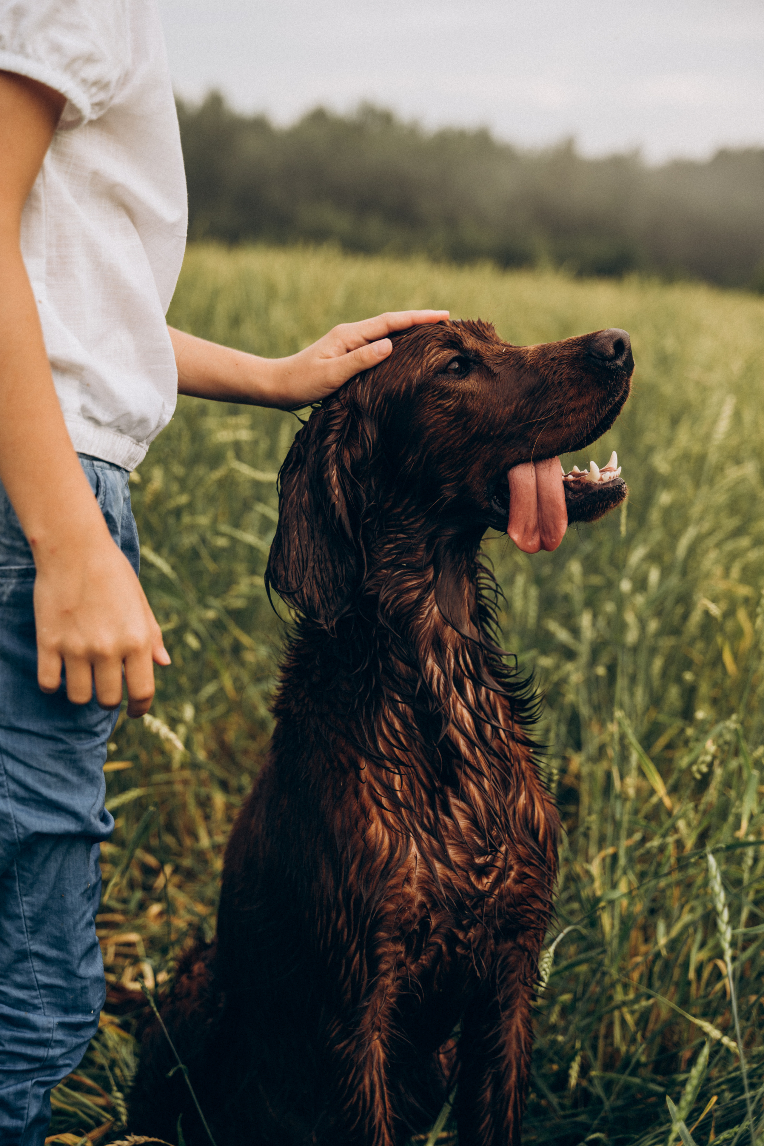 Здесь и сейчас. Семейный фотограф в Москве Полина Курданина