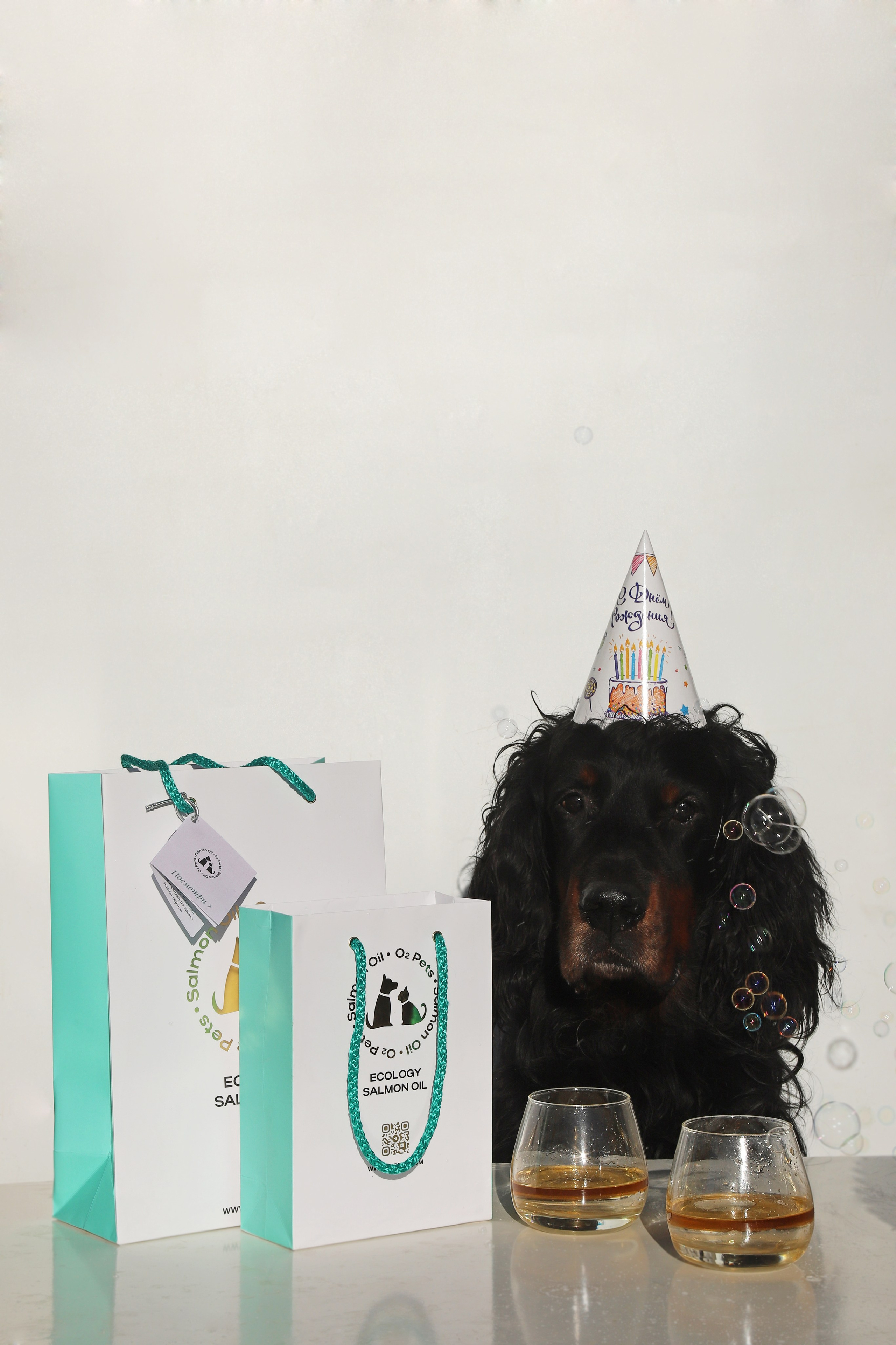 Salmon Oil бренд O2Pets. Фотограф Ольга Мурзина