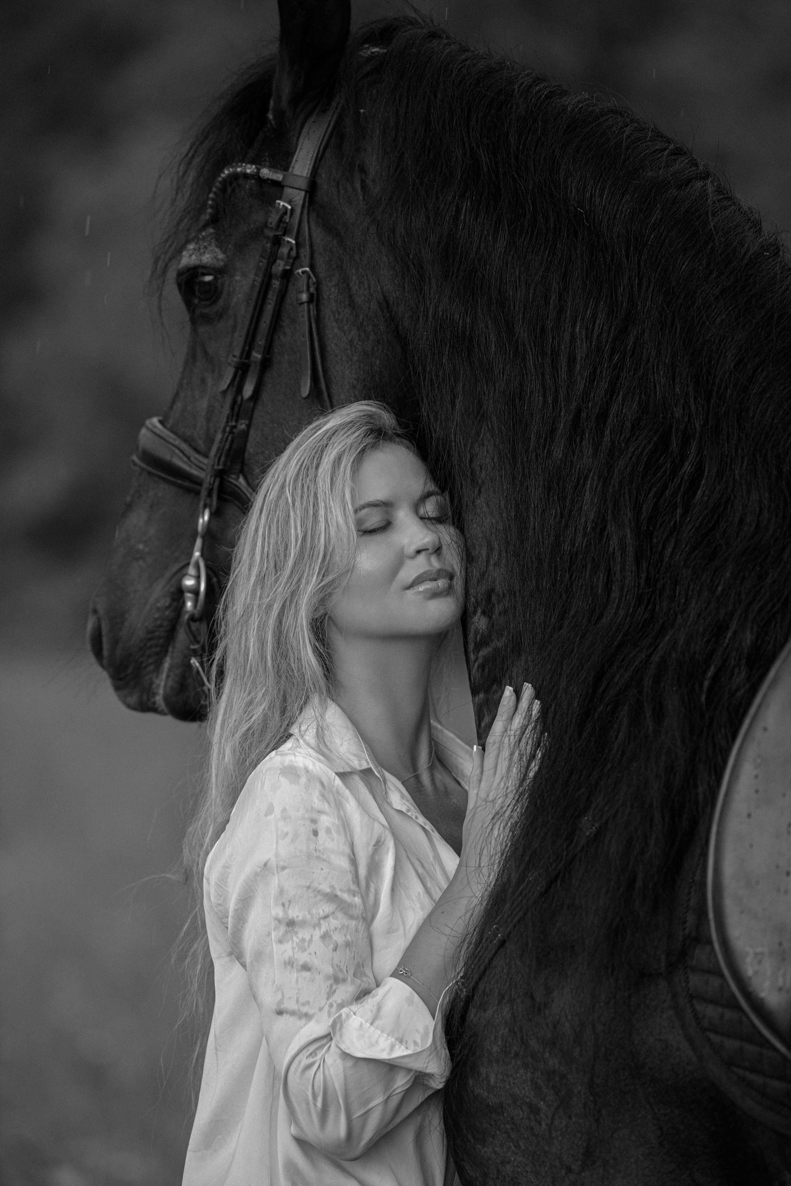 Эстетика и стиль в фотосессии с лошадьми