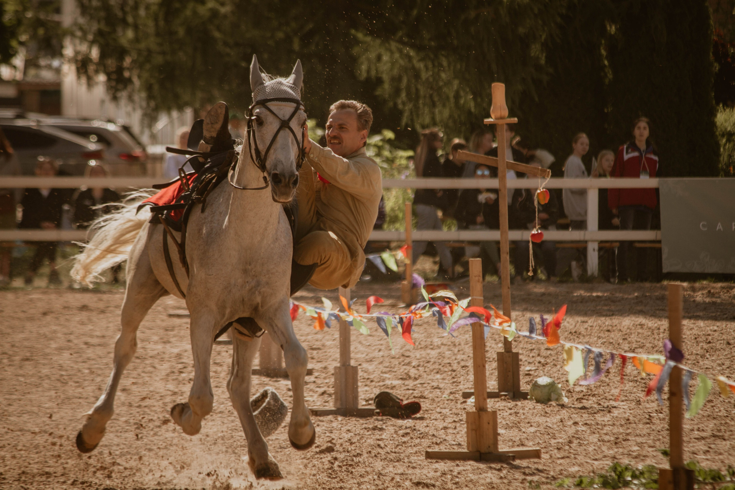 ИППОСФЕРА — Международная конная выставка. Создадим шедевр? Виталина и её фотоискусство