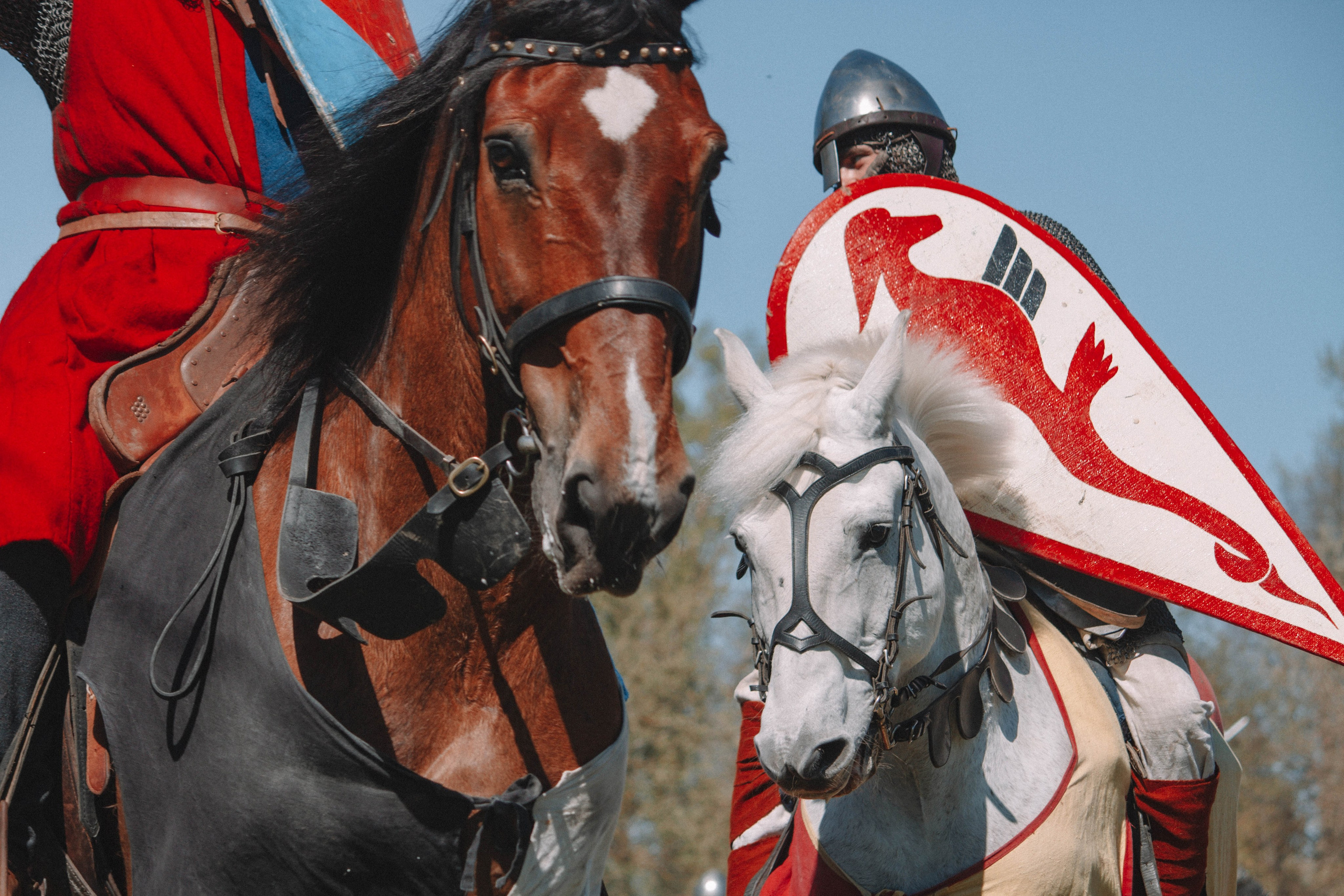 СТАРАЯ ЛАДОГА — Историко-культурный фестиваль. Создадим шедевр? Виталина и её фотоискусство