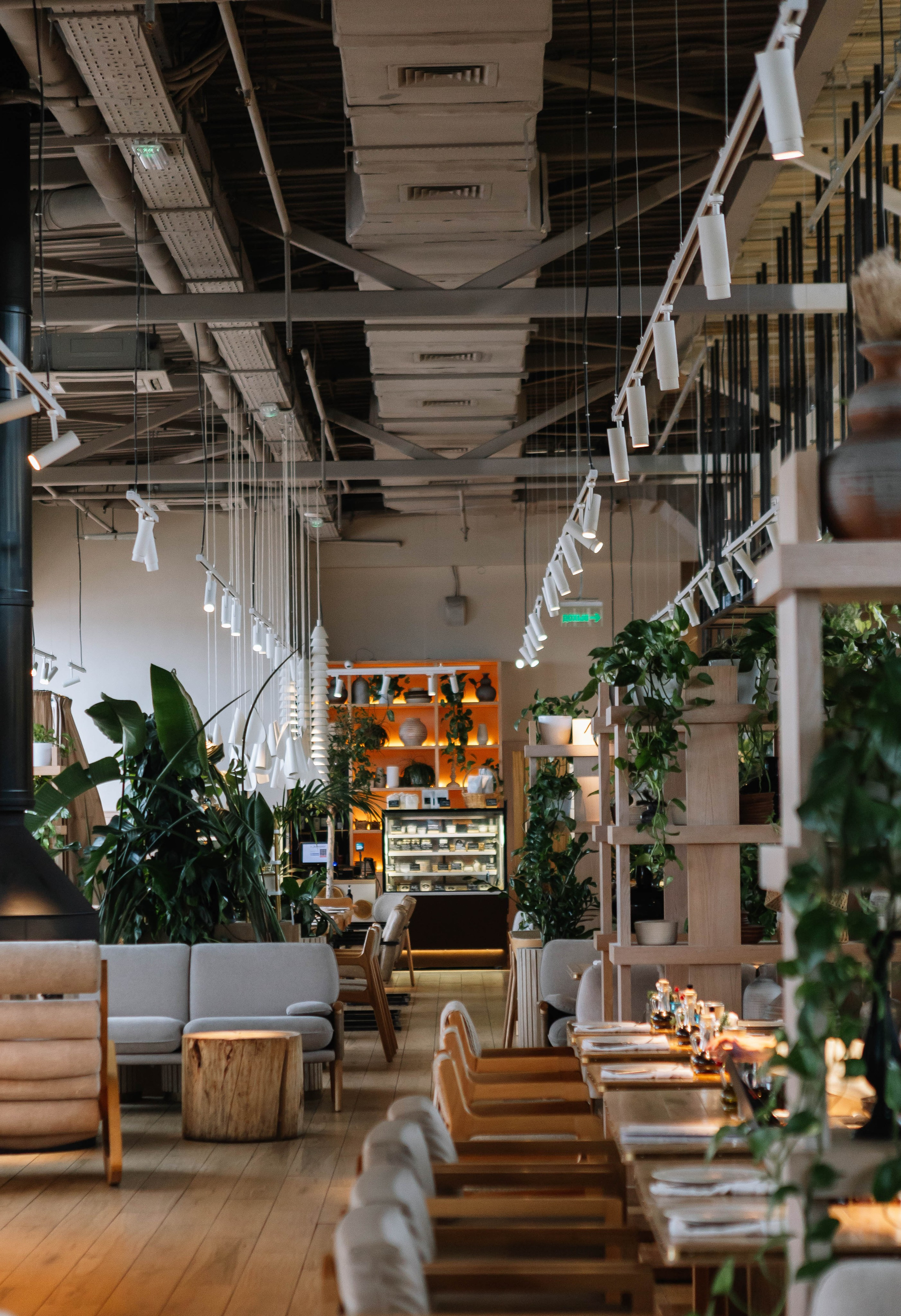 Food. Фото, видео и контент съемки в Москве