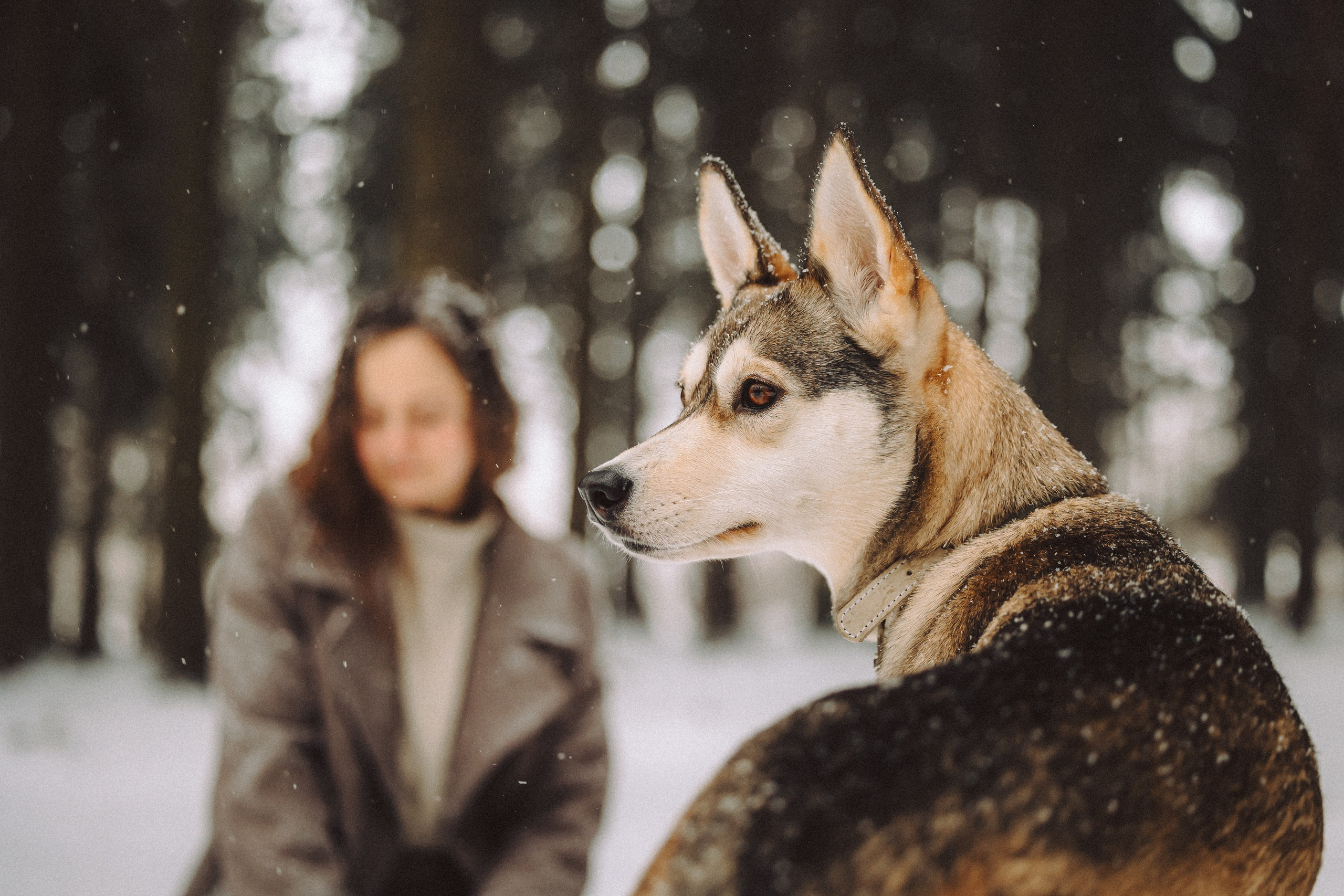 Аня и Рокси