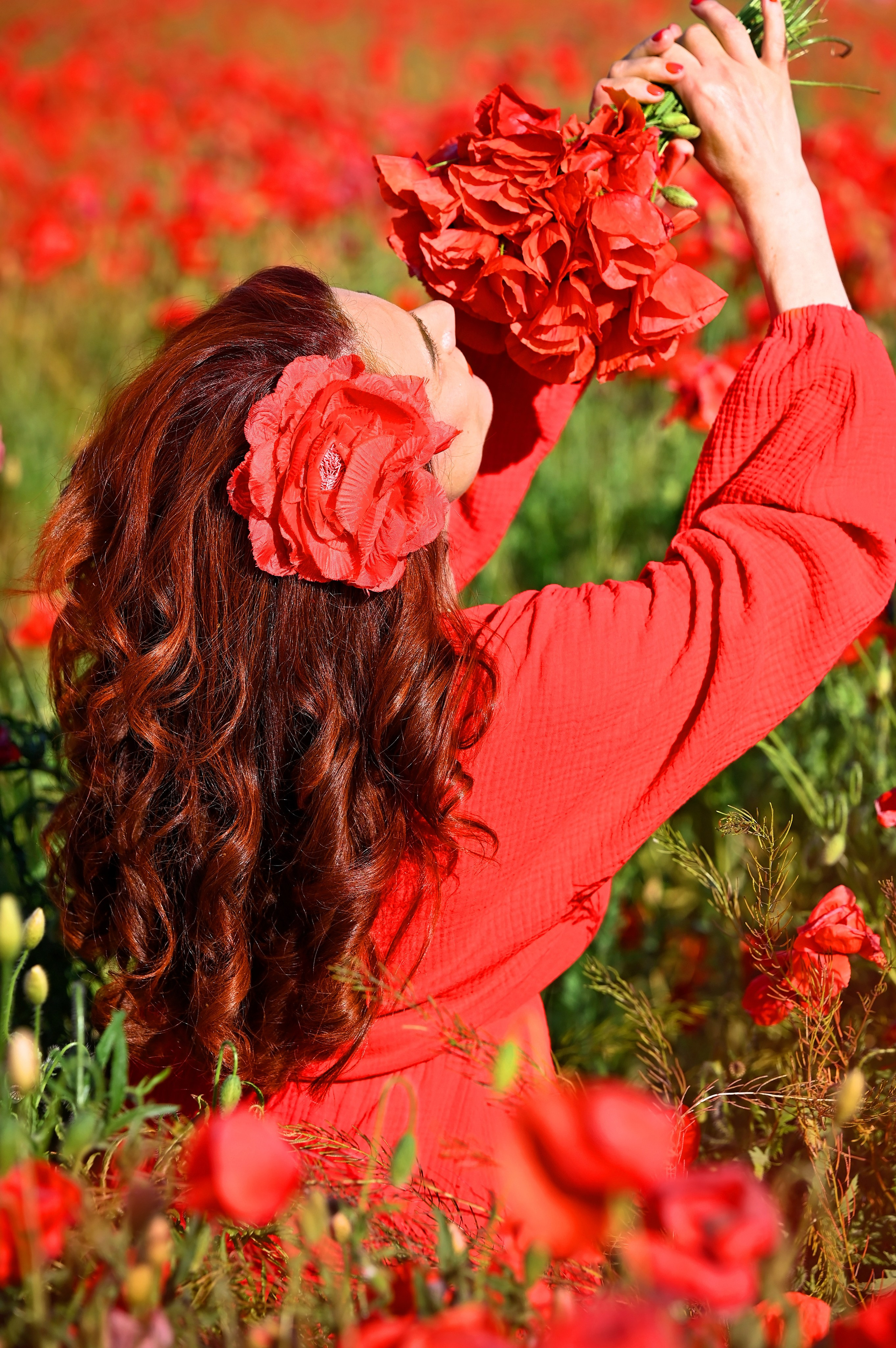 Маки. Главная