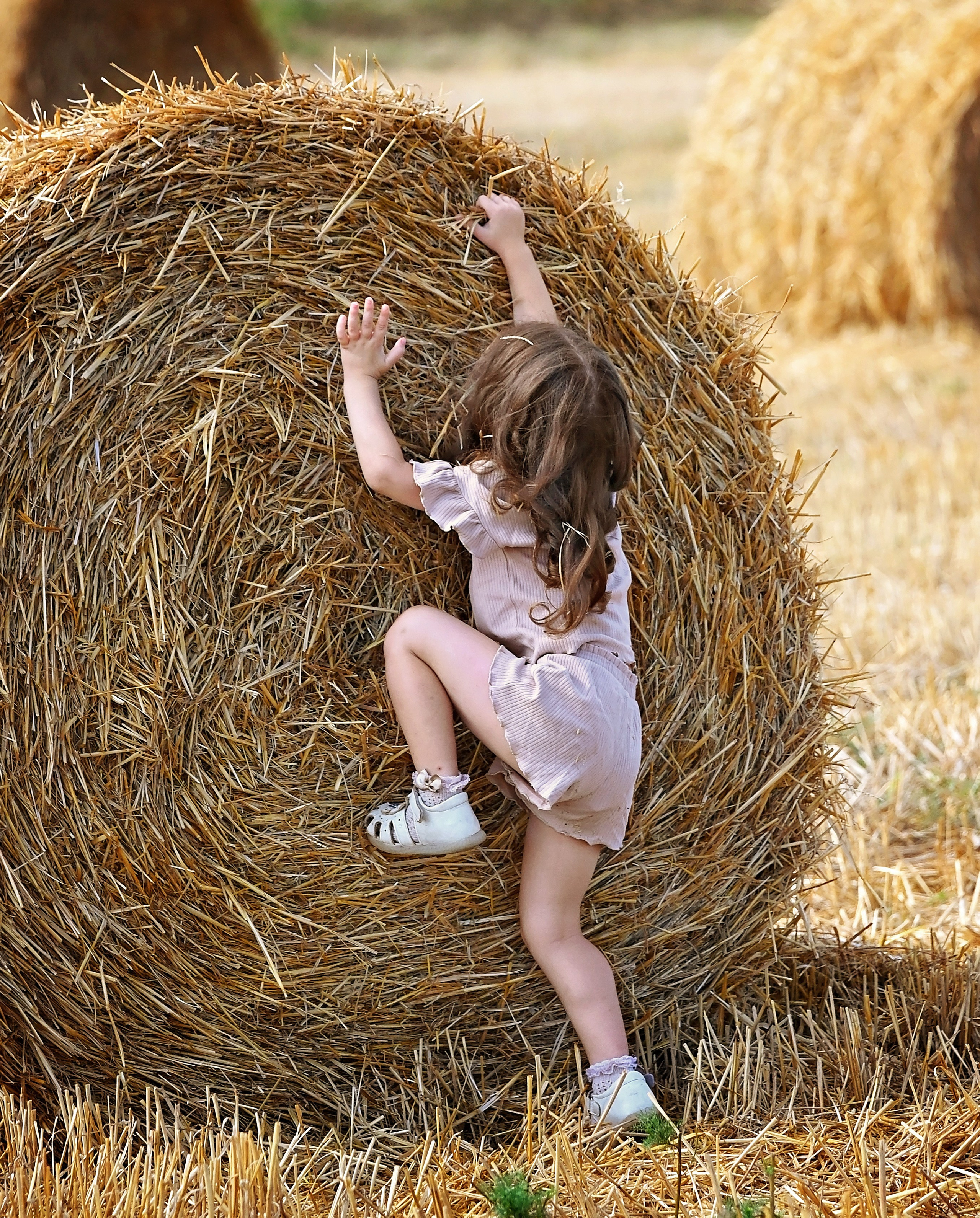 Сено. Главная