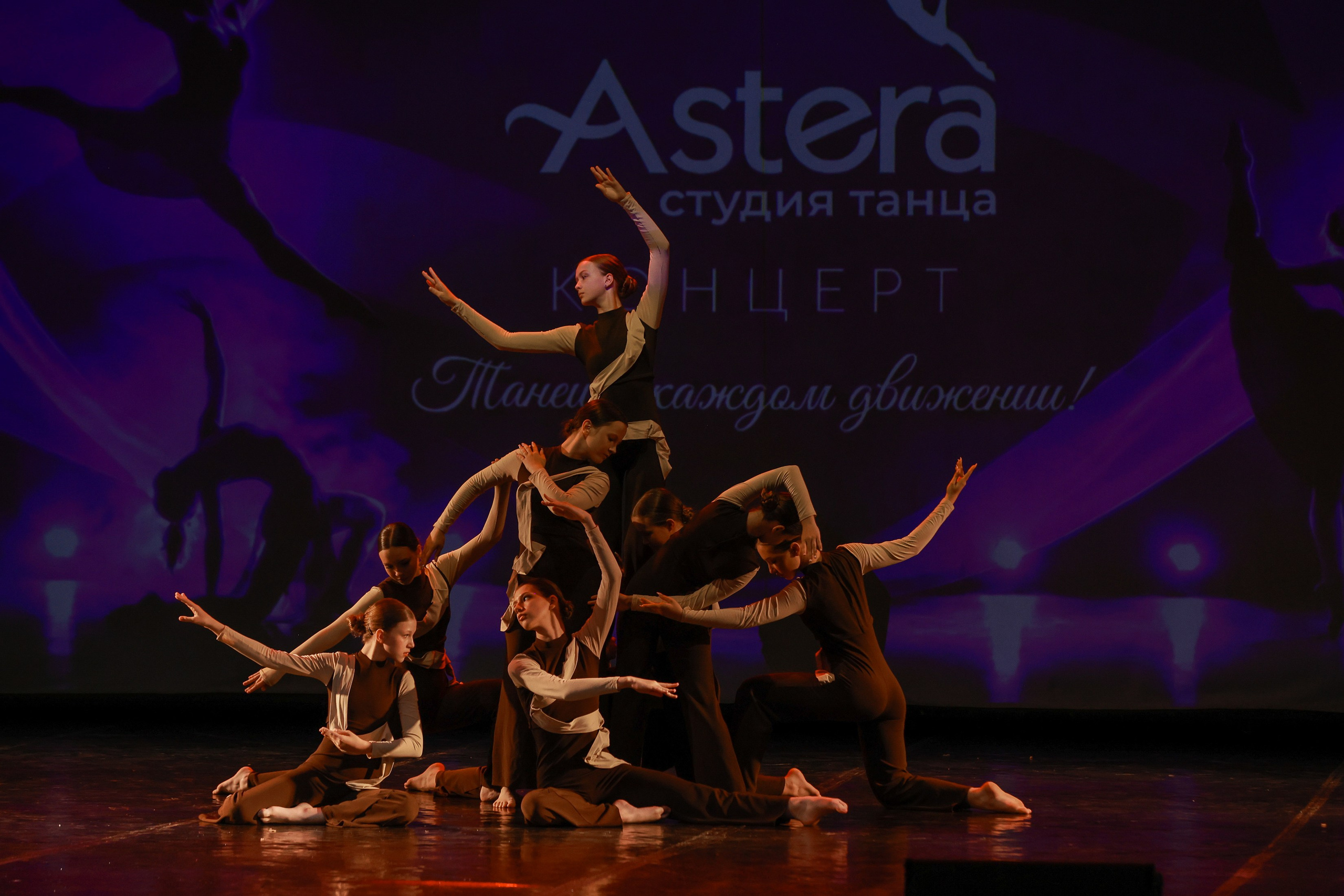 Отчётник Астера. Фотограф Юлия Мальцева