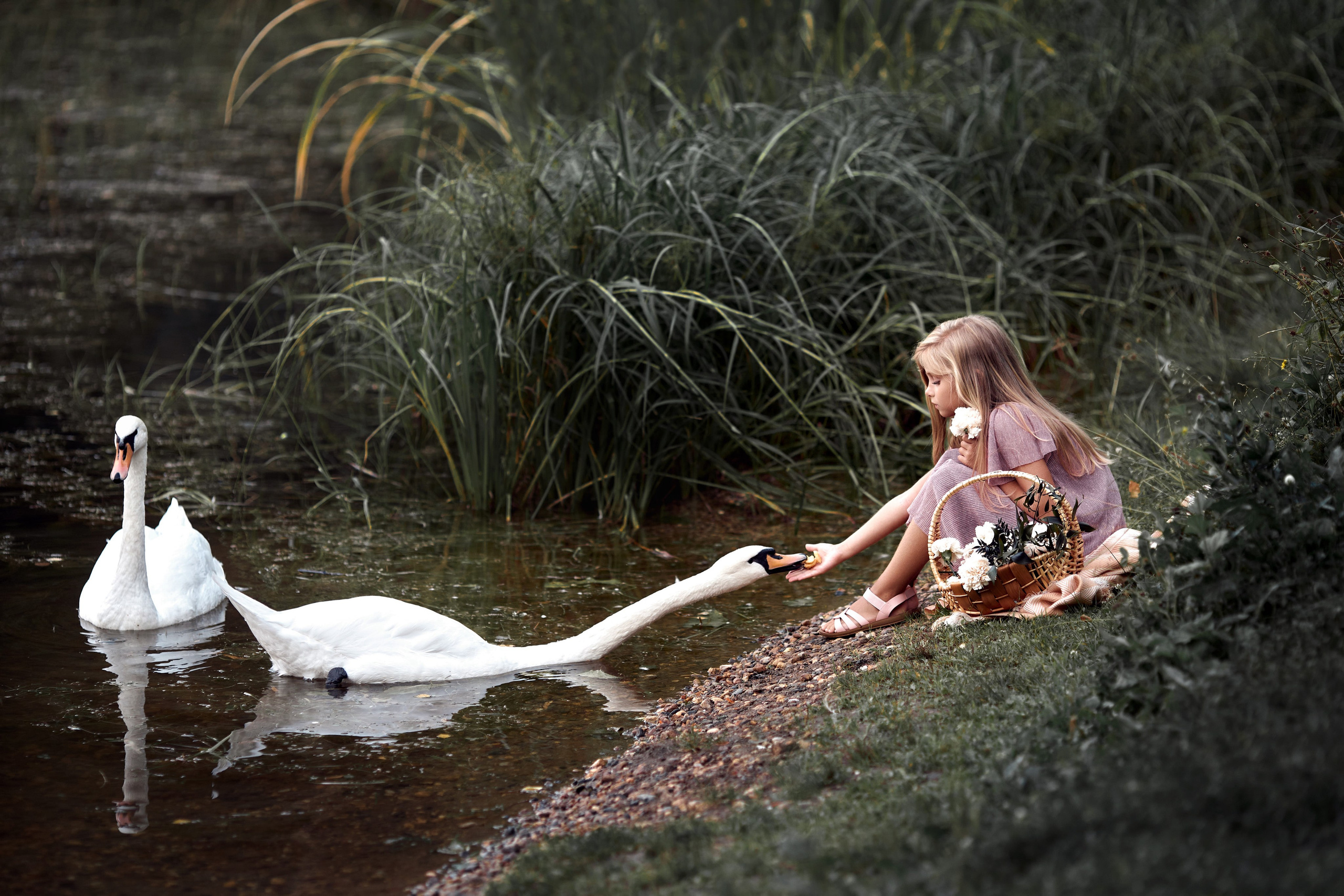 Алина. Свадебный и семейный фотограф Игорь Елагин