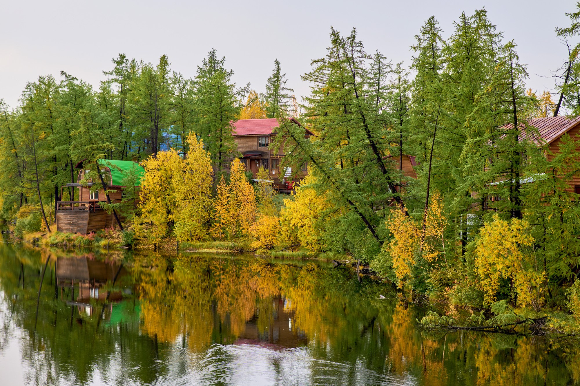 Природа.Осень. Талнах.рф