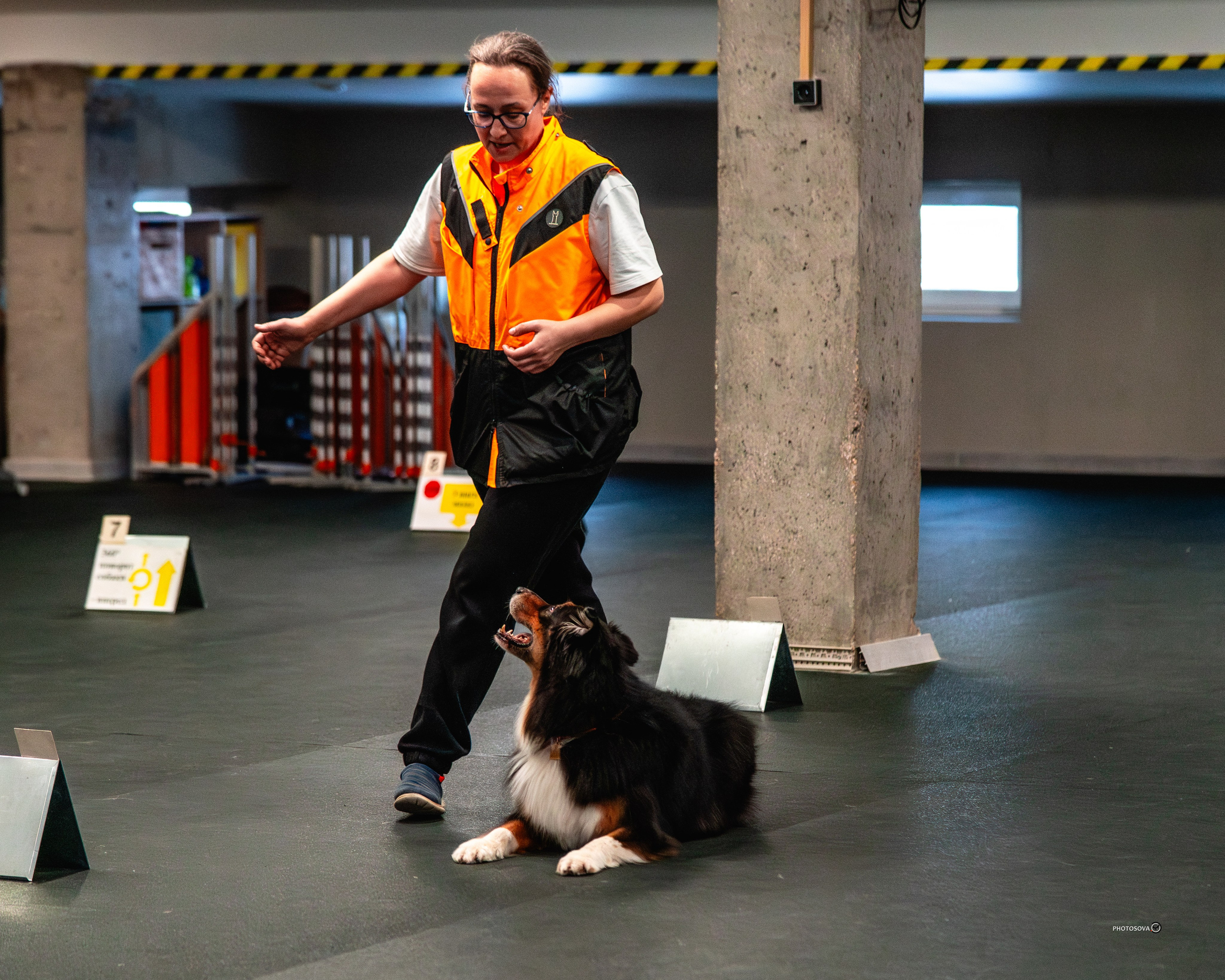 ТЫ И Я (соревнования по ралли-обидиенс). Фотограф-анималист, семейный фотограф в Москве и Подмосковье. Фотосъёмка кинологических дисциплин