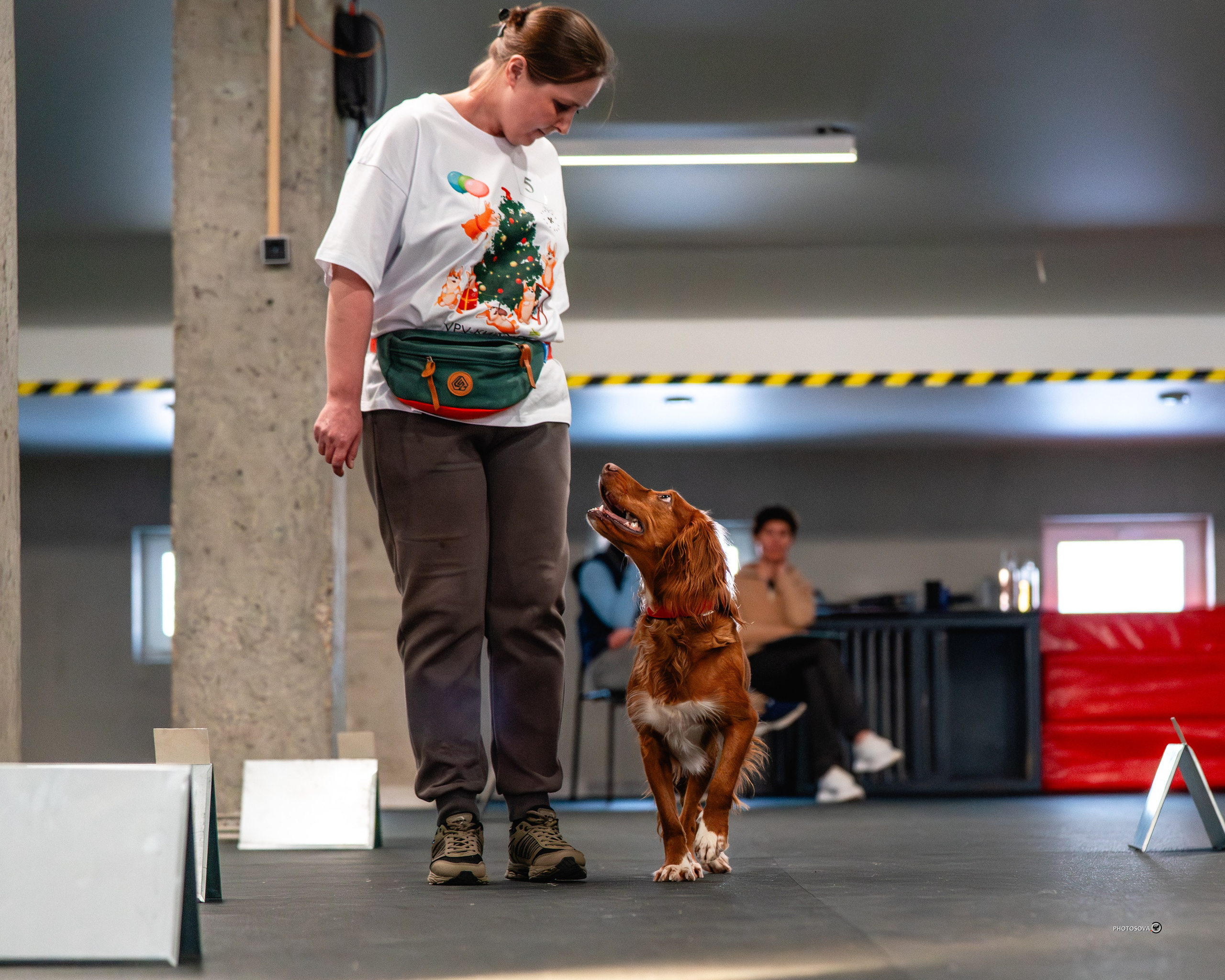 ТЫ И Я (соревнования по ралли-обидиенс). Фотограф-анималист, семейный фотограф в Москве и Подмосковье. Фотосъёмка кинологических дисциплин