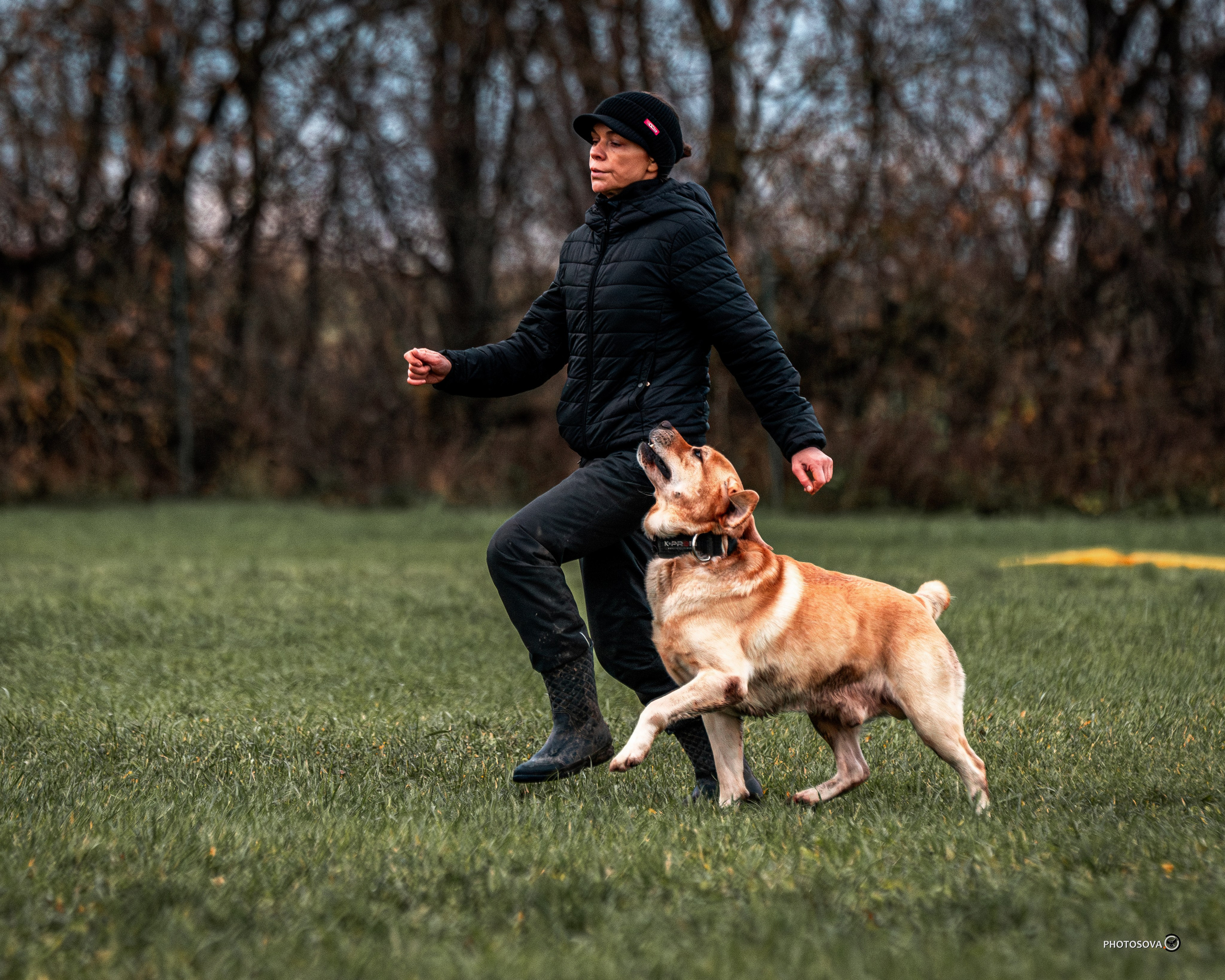 МЫ — КОМАНДА (соревнования) OKD, BH, IBGH, IGP. Фотограф-анималист, семейный фотограф в Москве и Подмосковье. Фотосъёмка кинологических дисциплин