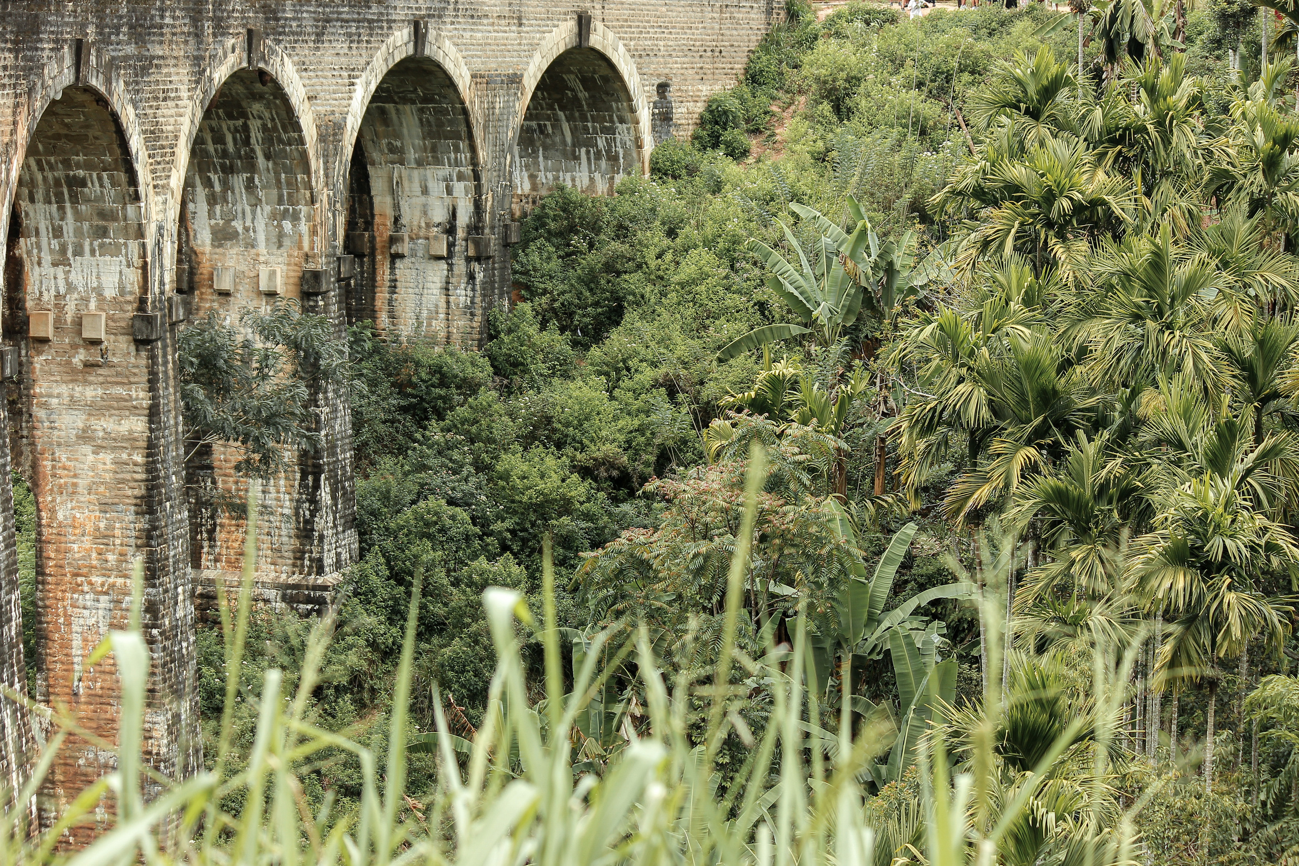 Nature. Фотограф Алена Кузьмина