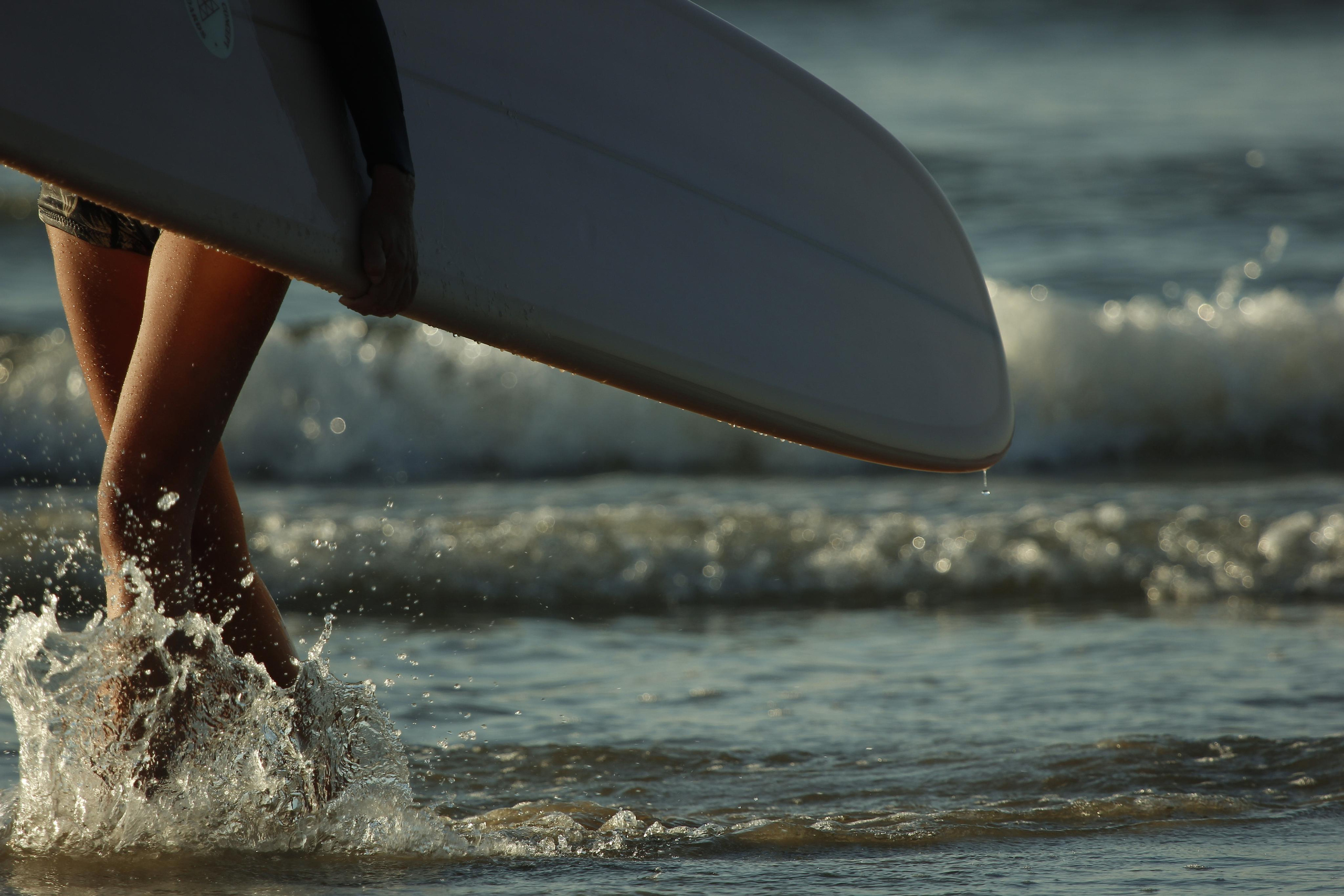 Фотограф Алена Кузьмина