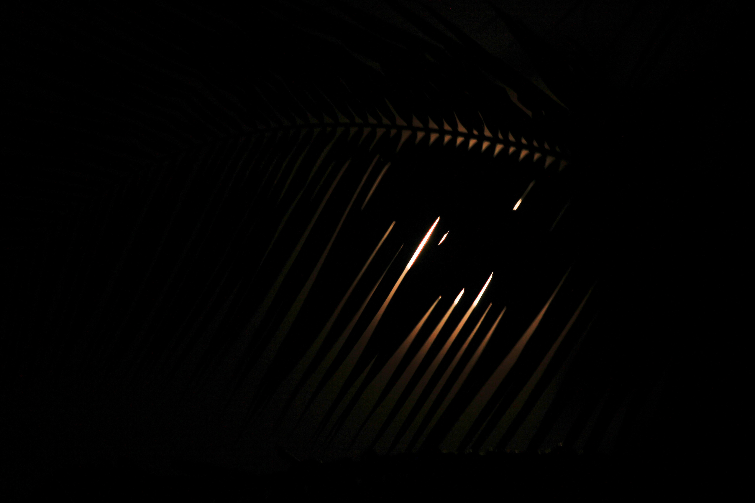 Nature. Фотограф Алена Кузьмина