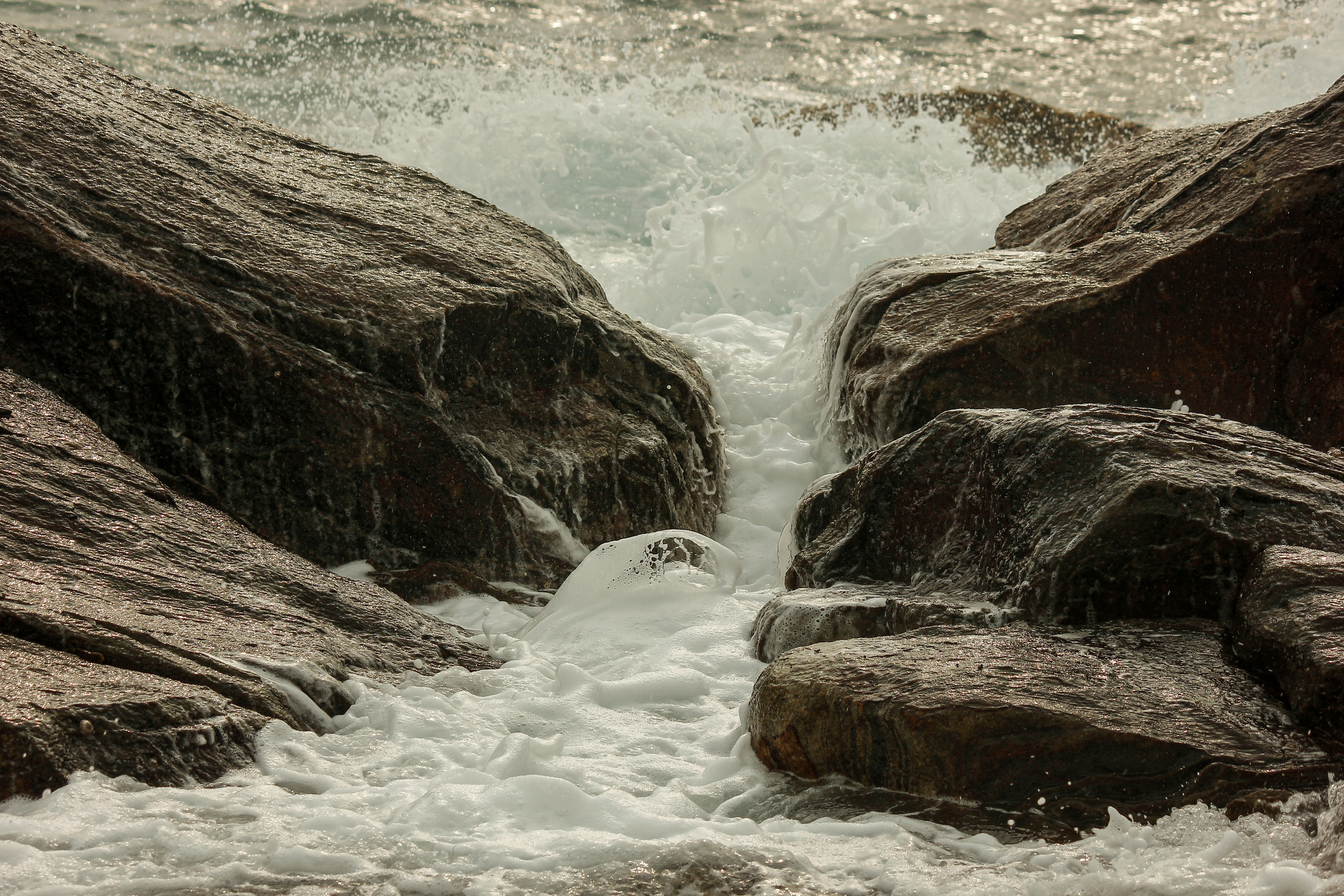 Nature. Фотограф Алена Кузьмина