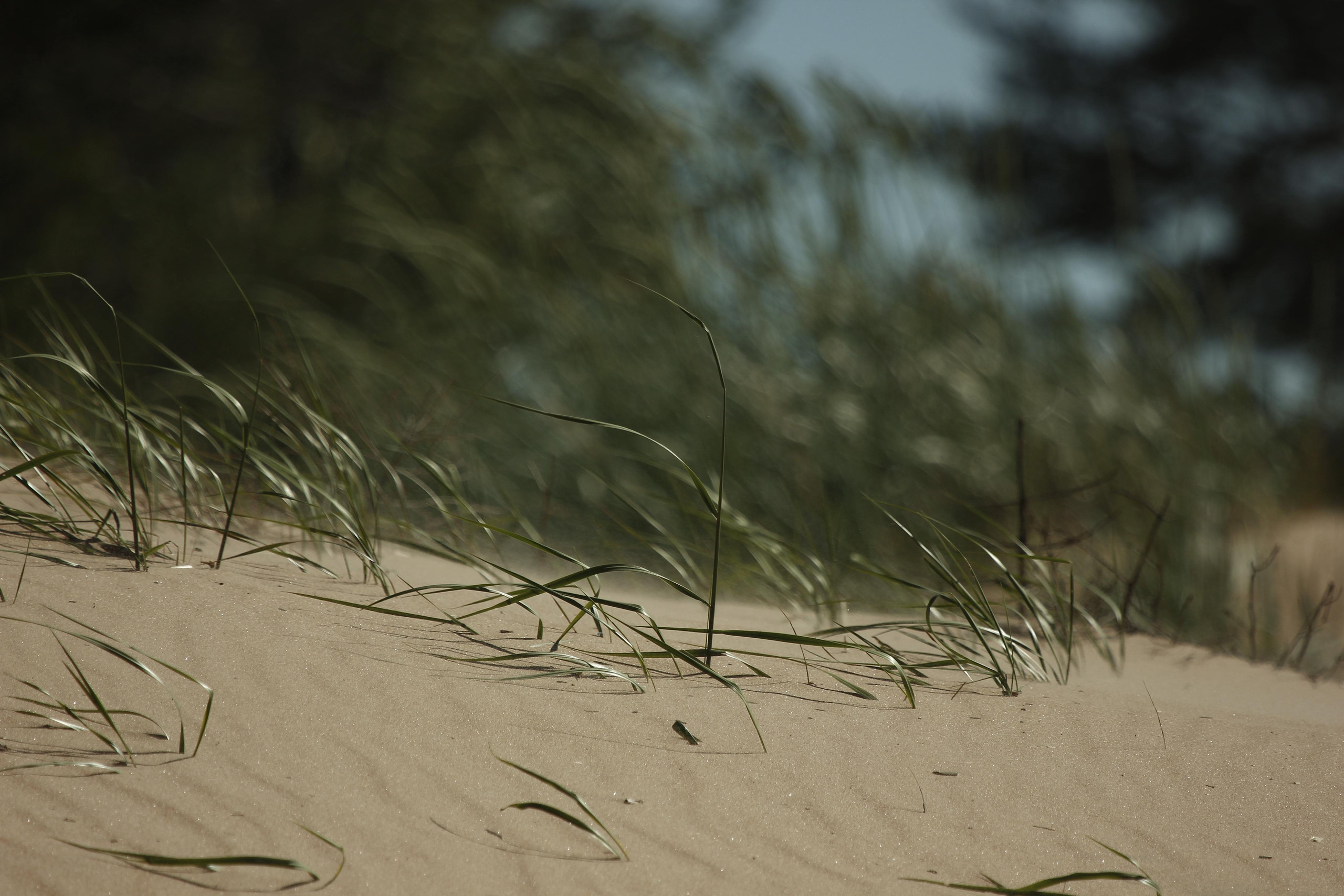 Услуги. Фотограф Алена Кузьмина