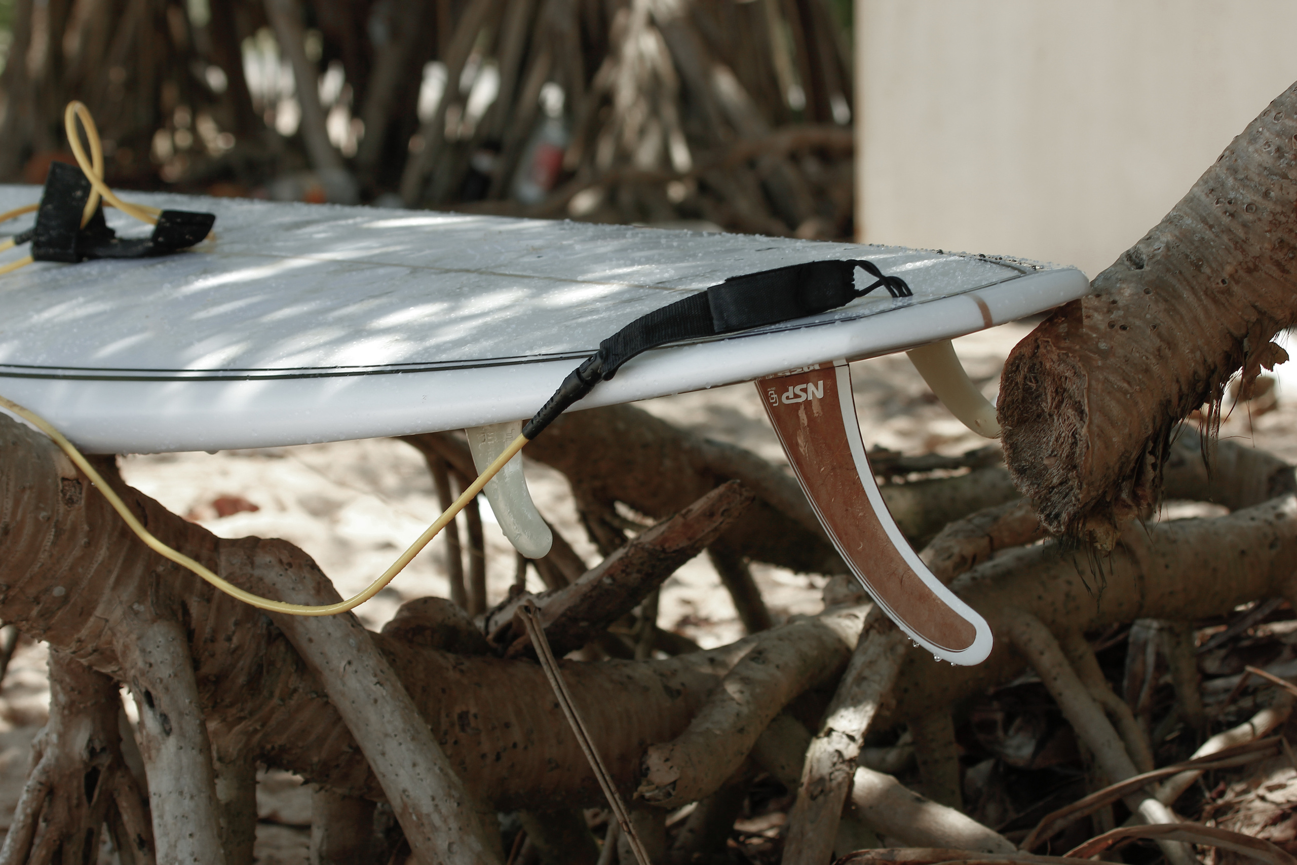 Surf Life in detail. Фотограф Алена Кузьмина