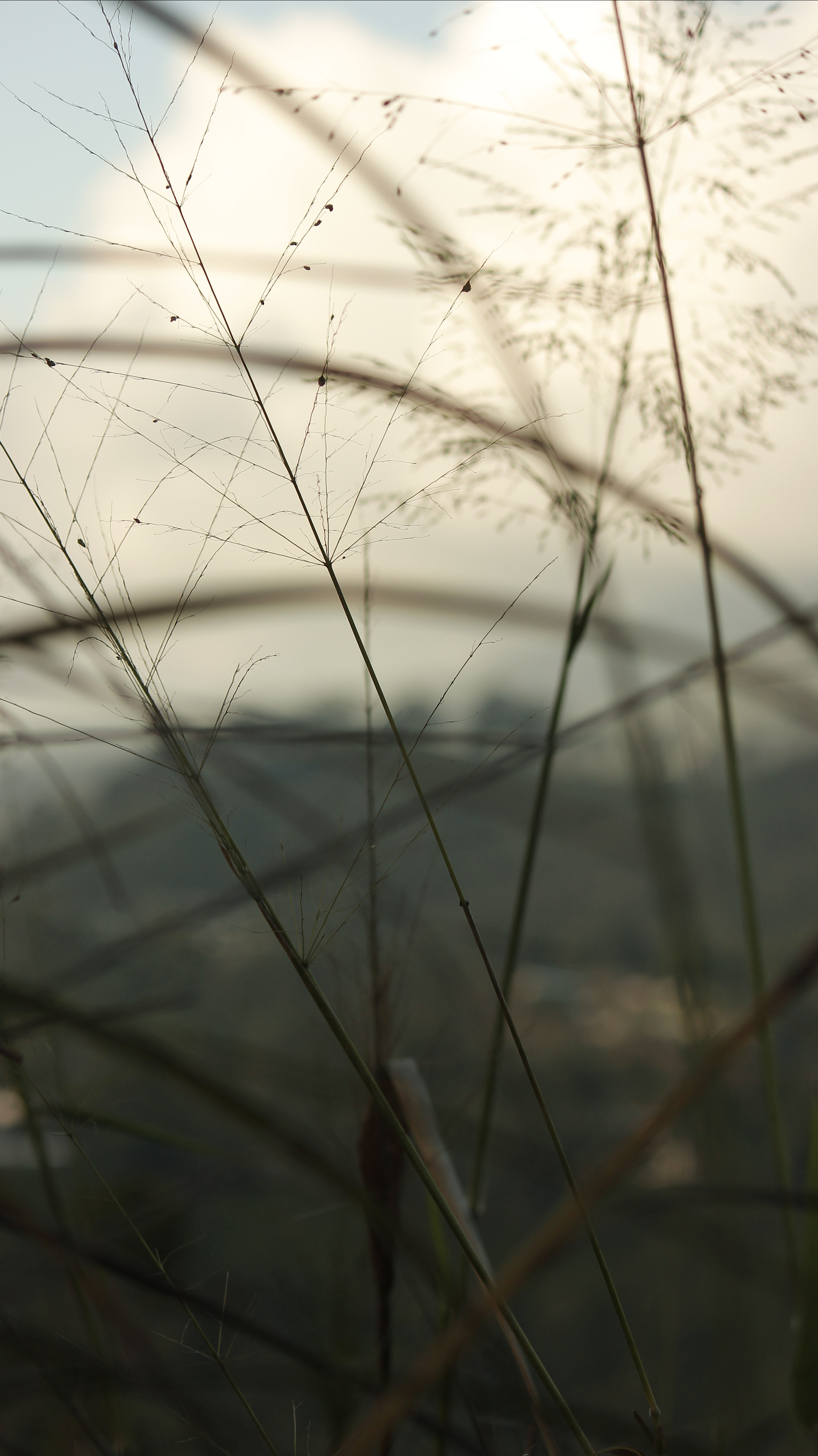 Nature. Фотограф Алена Кузьмина